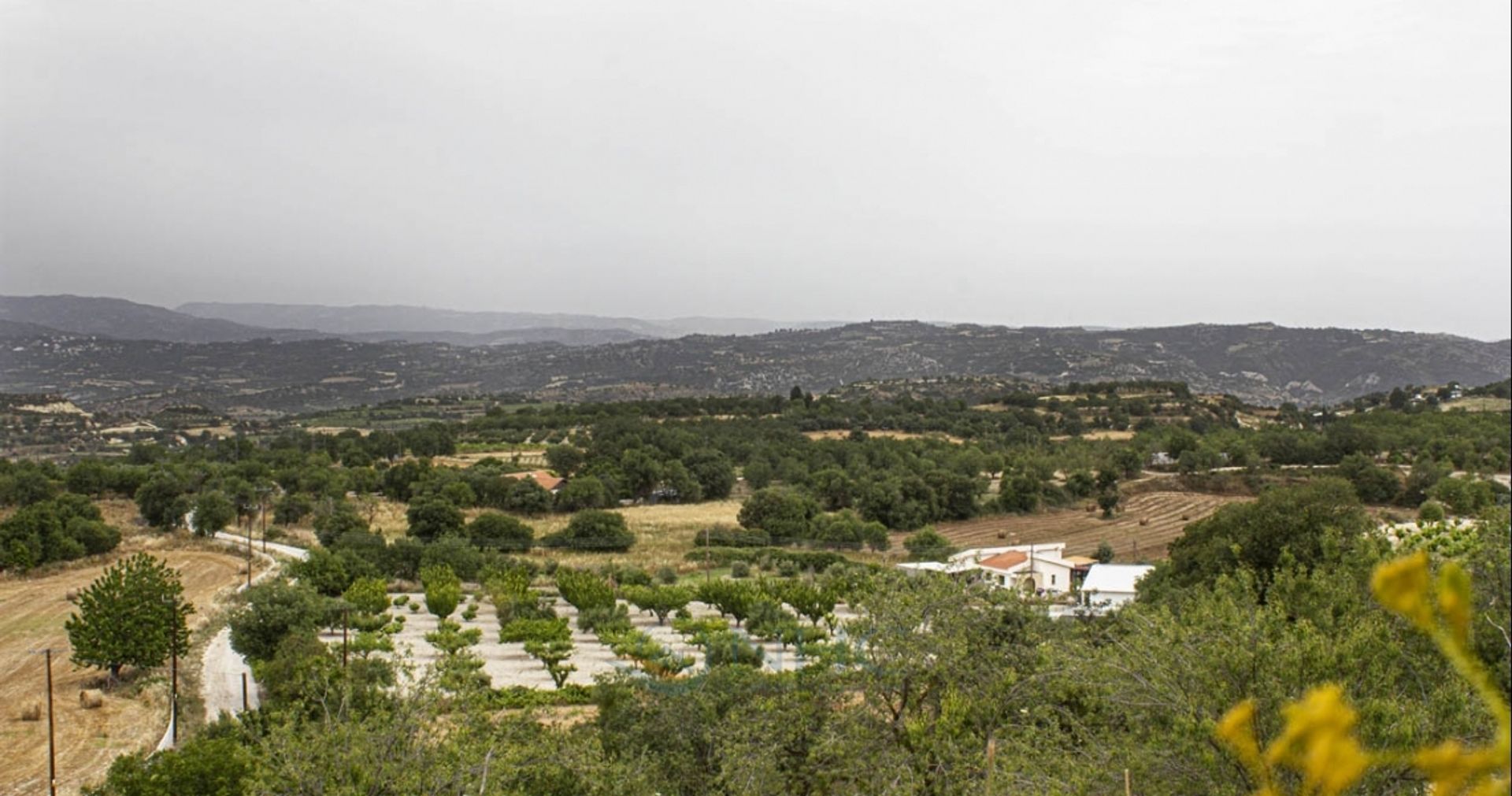 Haus im Kallepia, Paphos 11971092