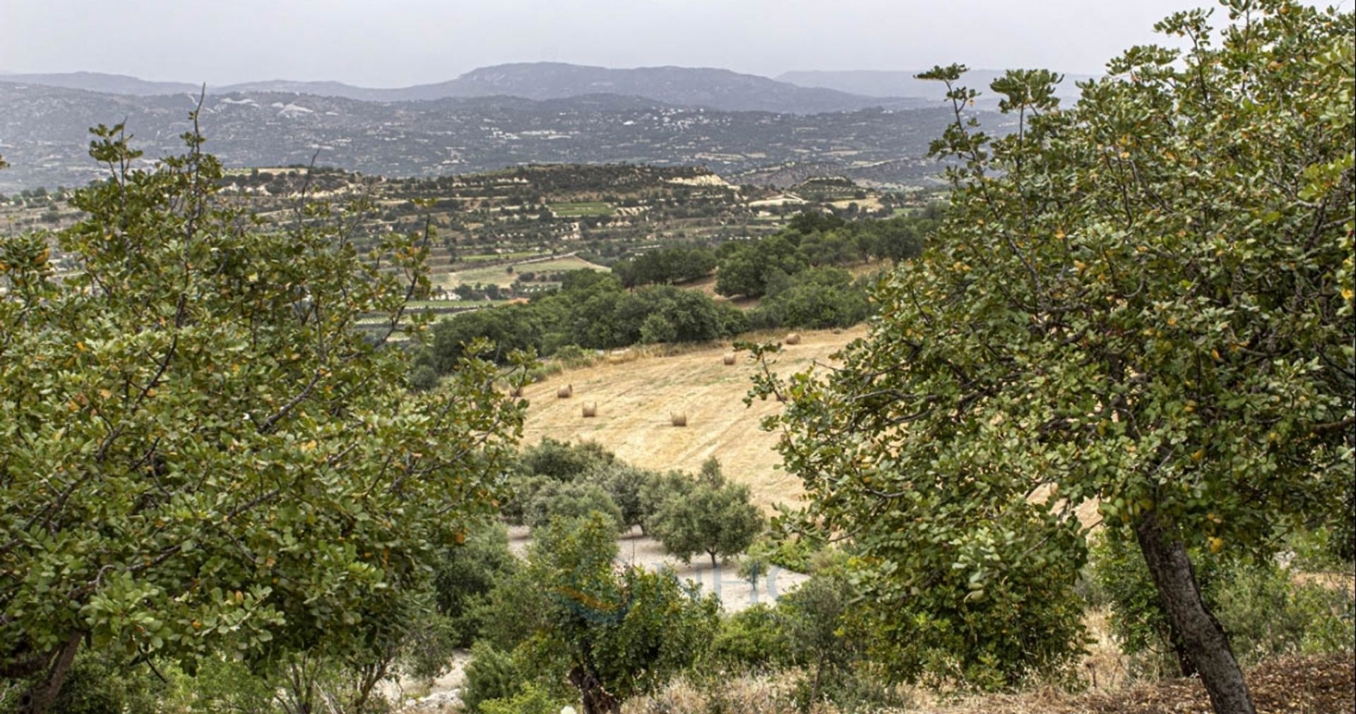 Haus im Kallepia, Paphos 11971092