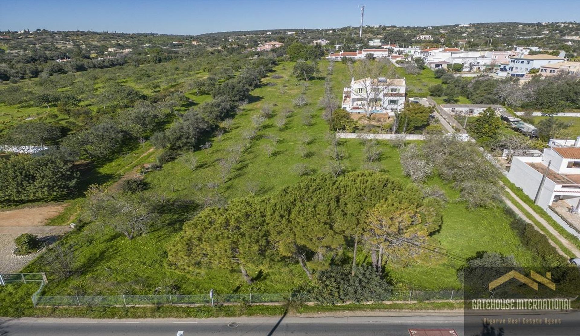 Land im Campina de Cima, Faro 11971936