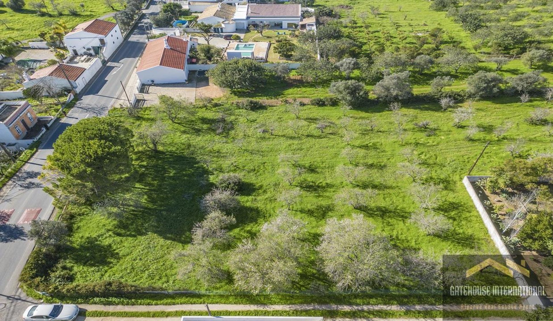 Land im Campina de Cima, Faro 11971936