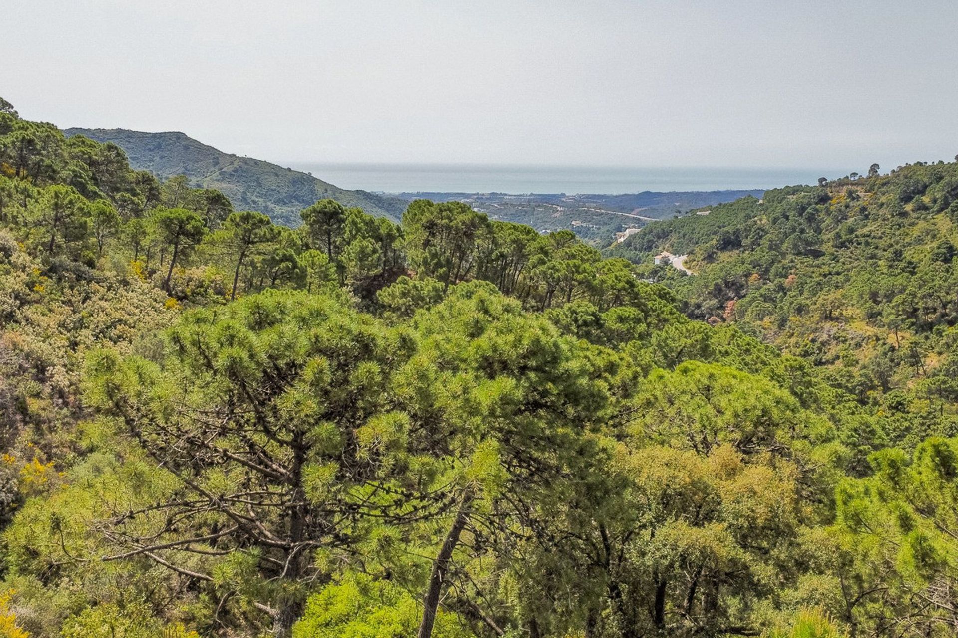 Land in Benahavis, Andalusië 11972330