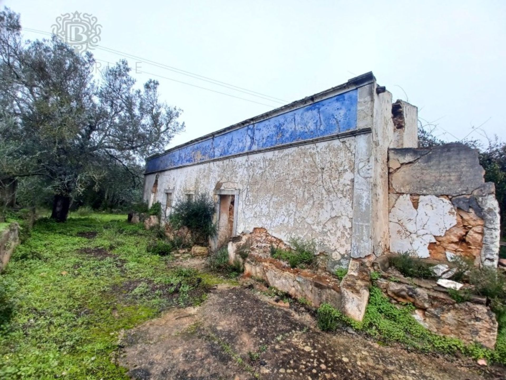 Tierra en Loulé, Faraón 11973589