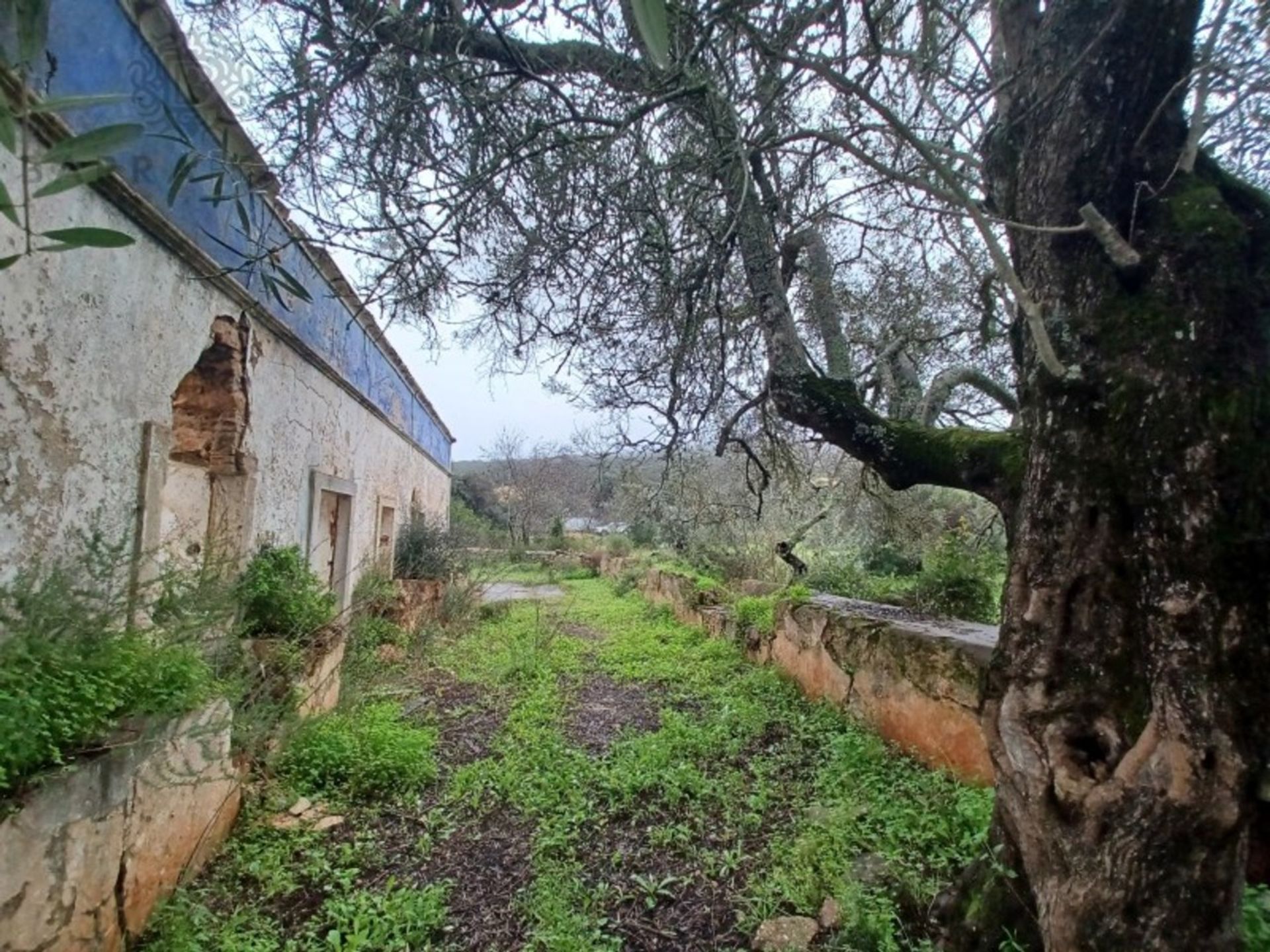 Land im Loulé, Faro District 11973589