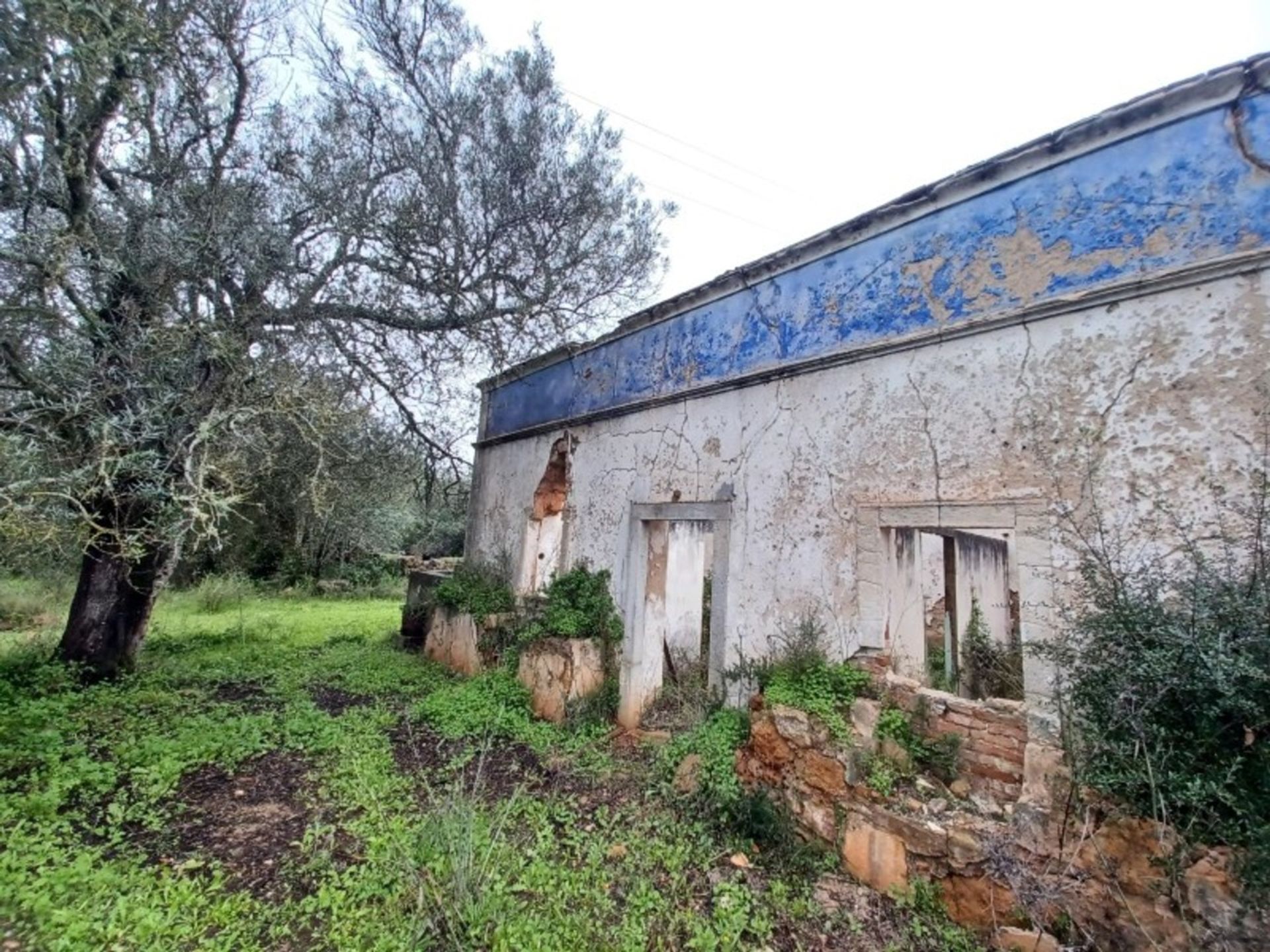 Land im Loulé, Faro District 11973589