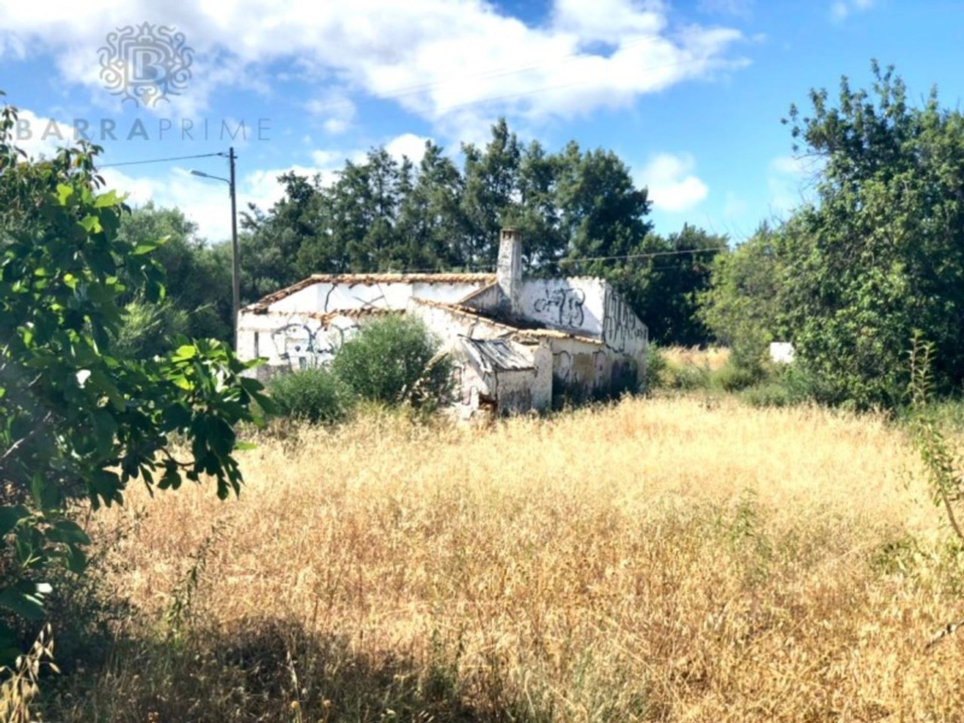 Tierra en almancil, Faraón 11973612