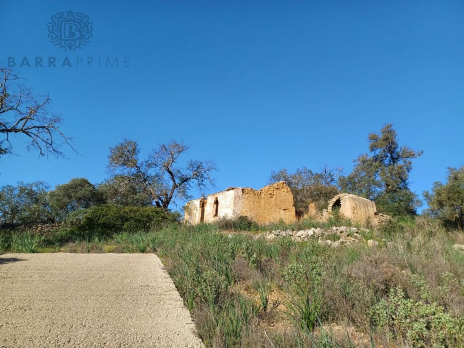 Land in Boliqueime, Faro 11973613