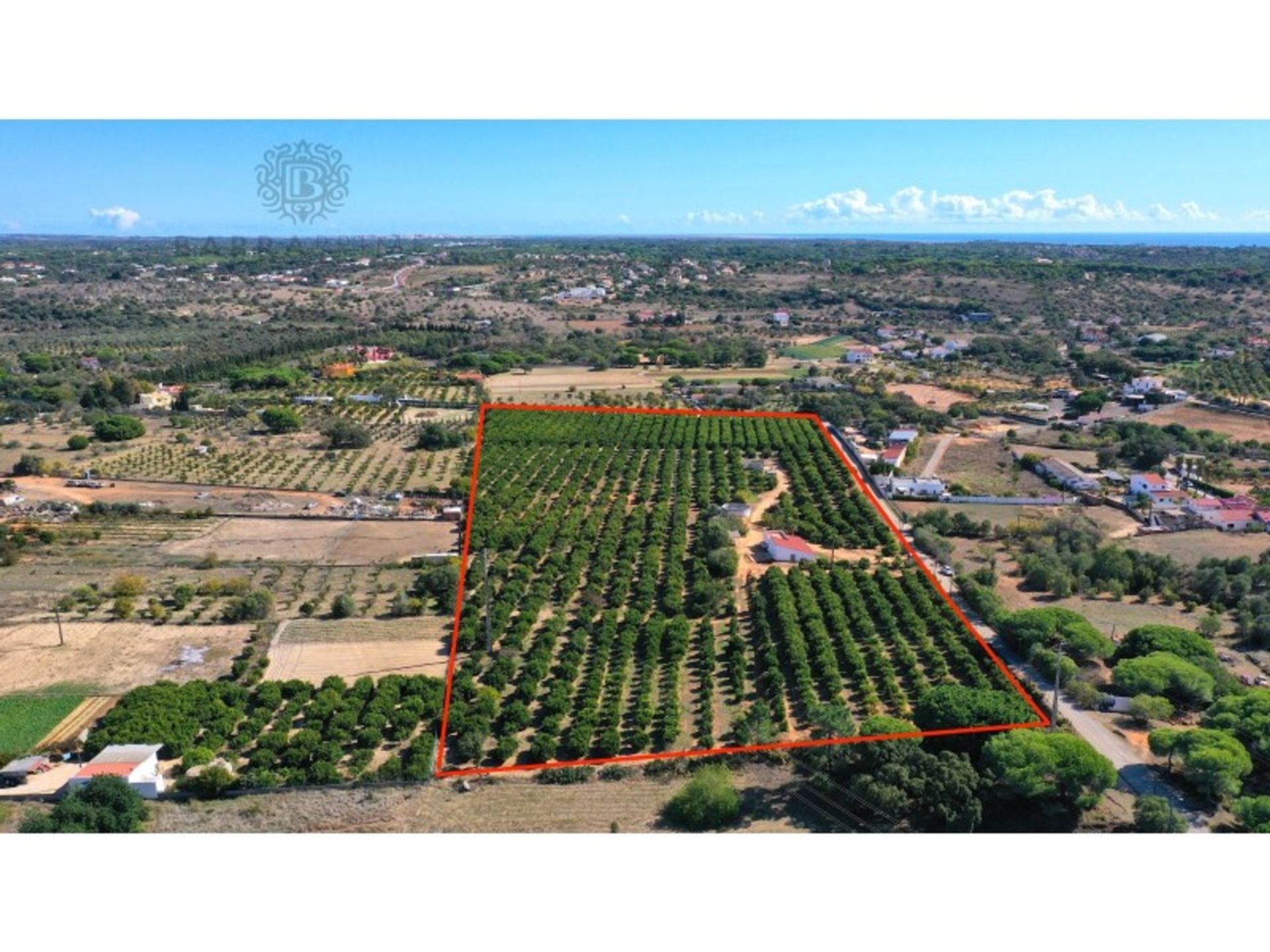 Land in Quarteira, Faro 11973667