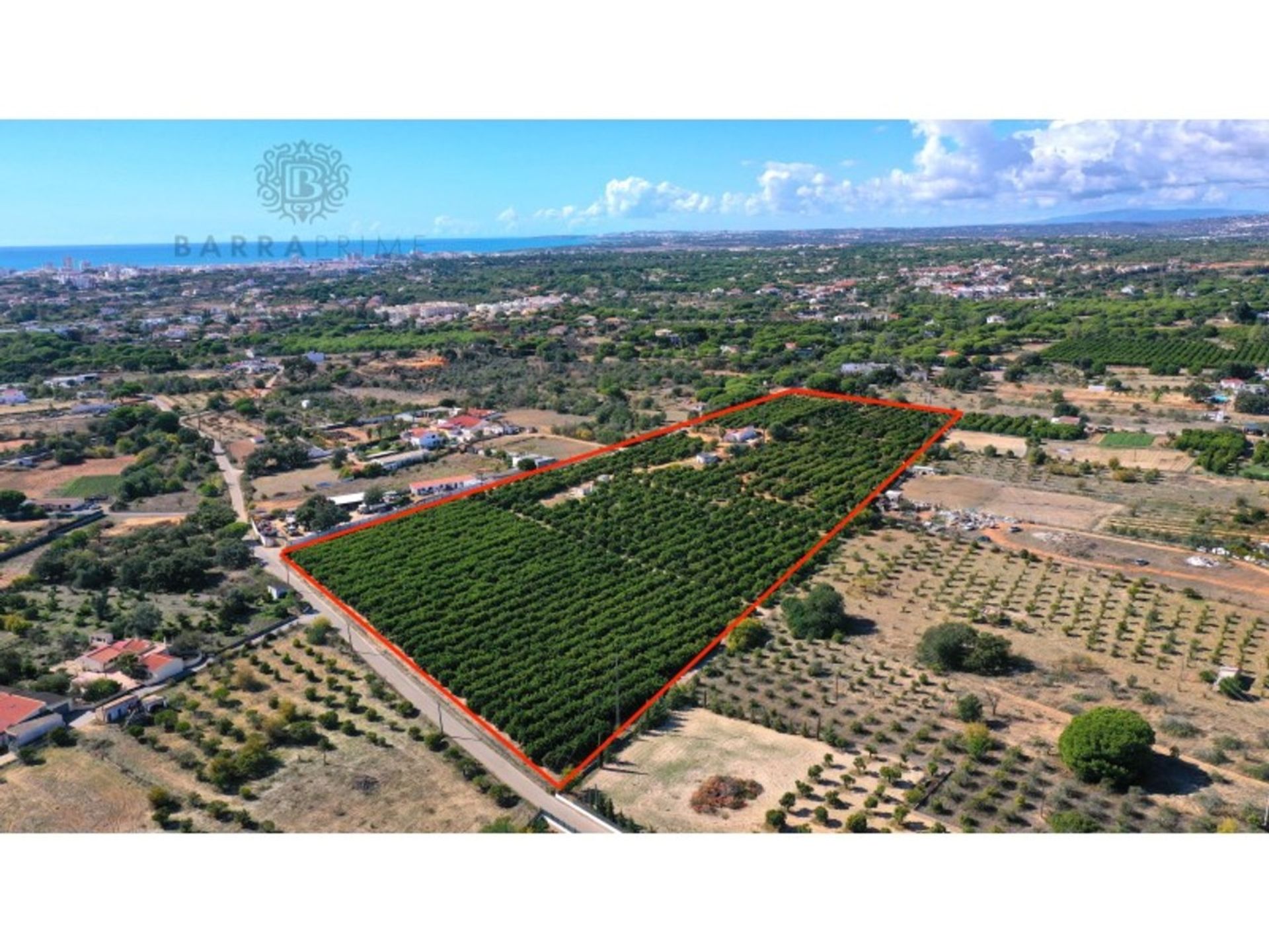 Land in Quarteira, Faro 11973667