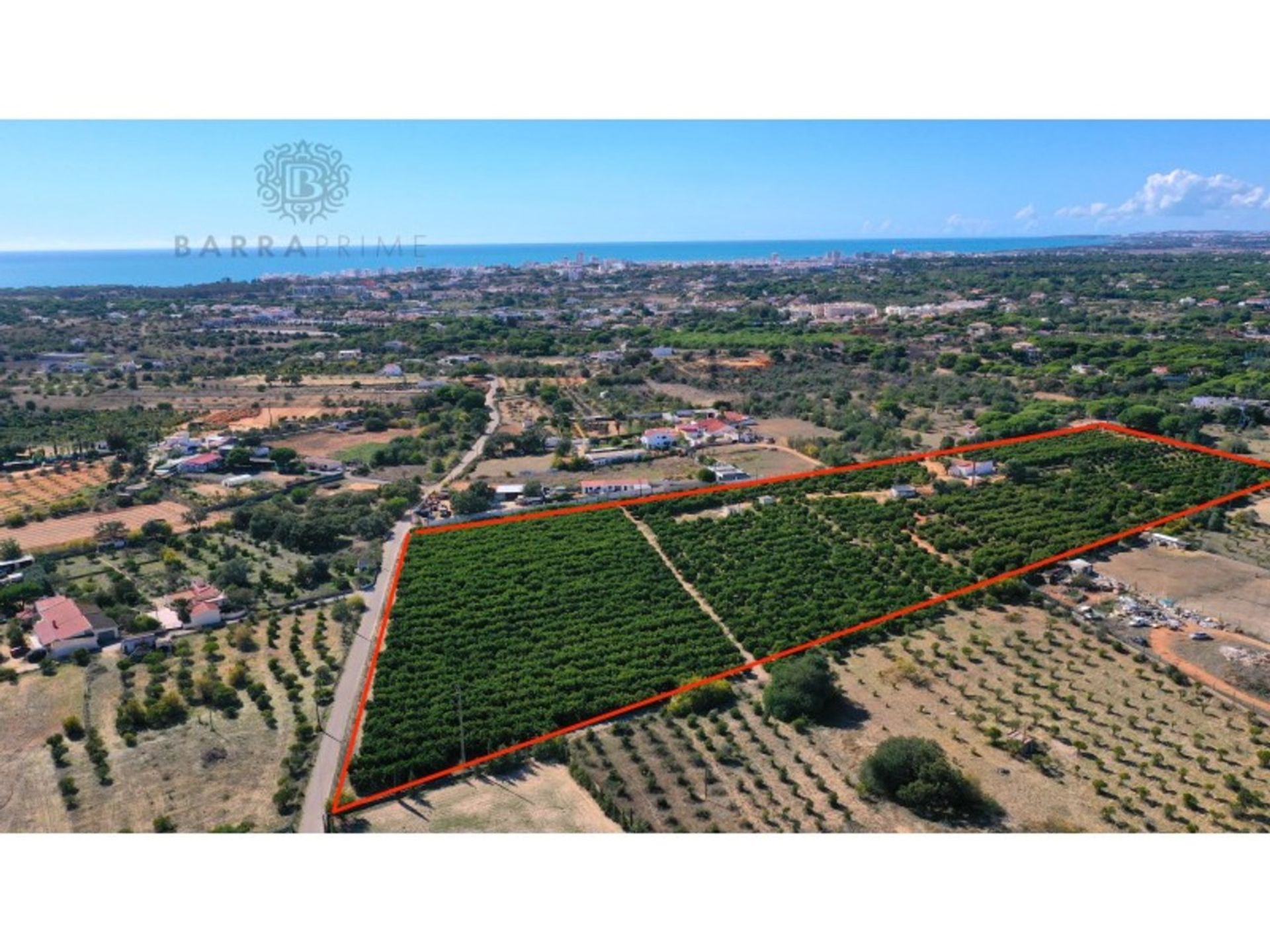 Land in Quarteira, Faro 11973667