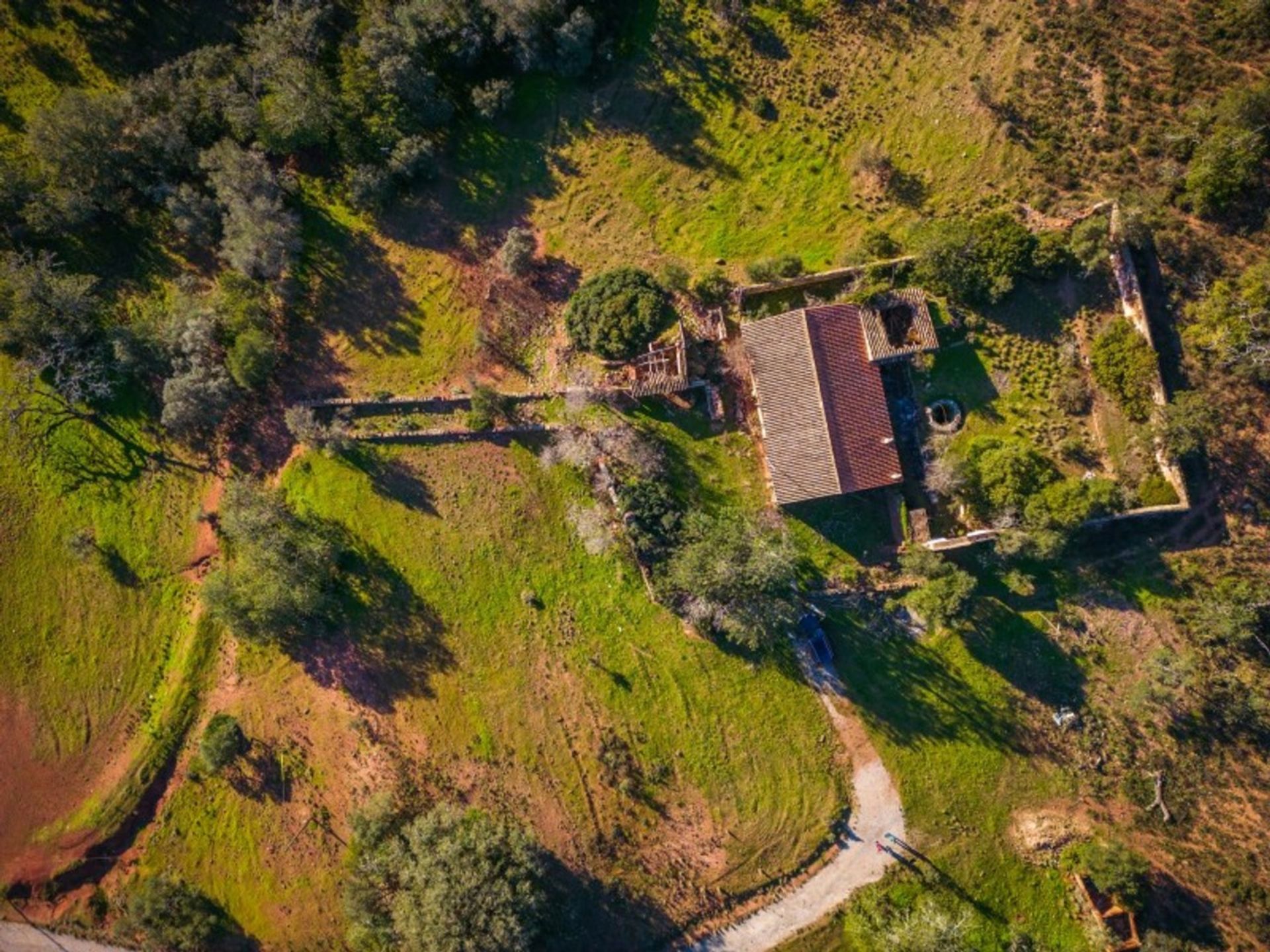 Land im Sao Bras de Alportel, Faro 11973698