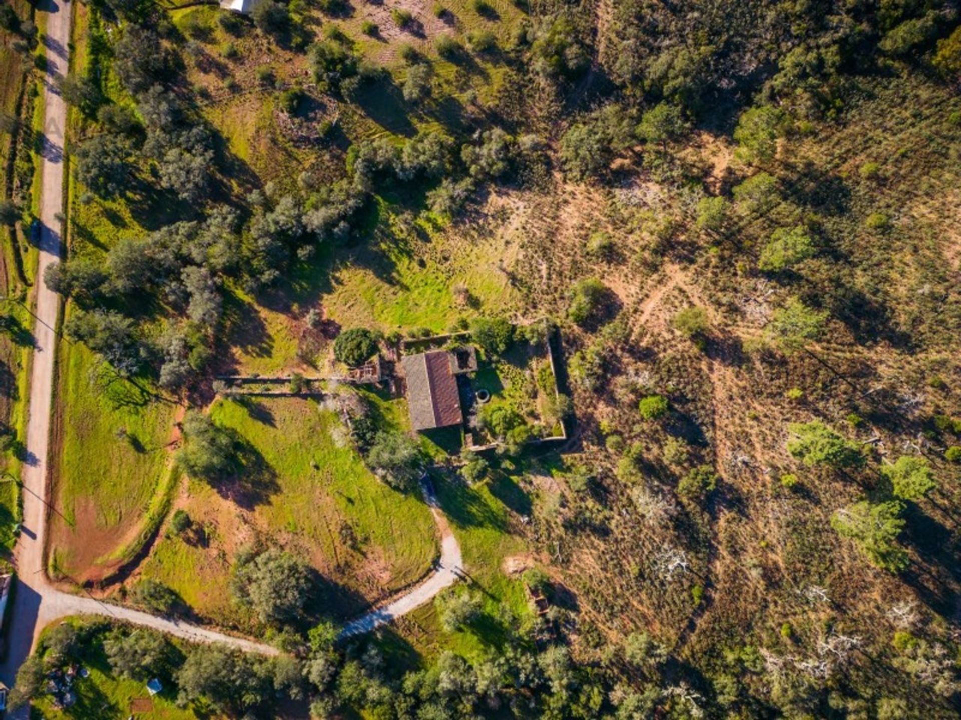 Land in Sao Bras de Alportel, Faro 11973698