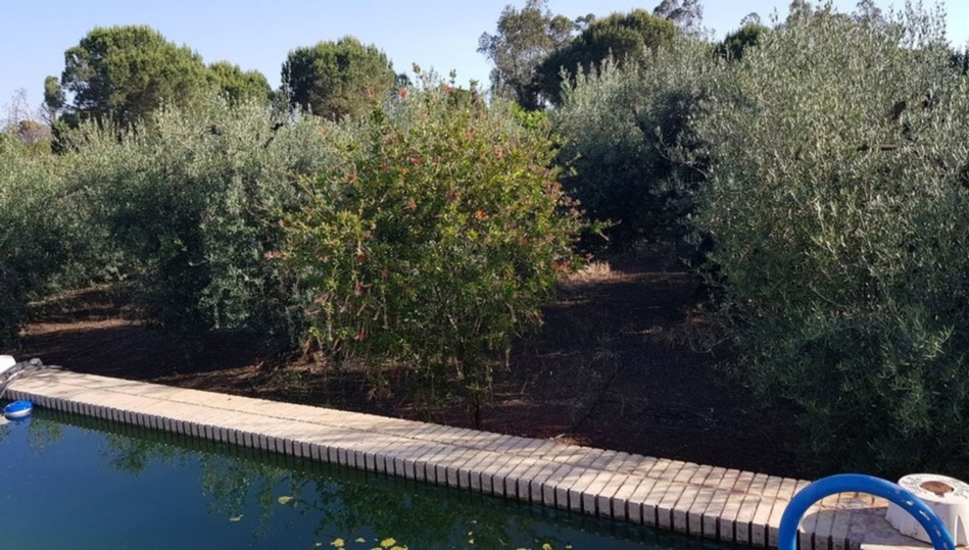 casa en Hinojos, Andalusia 11973724