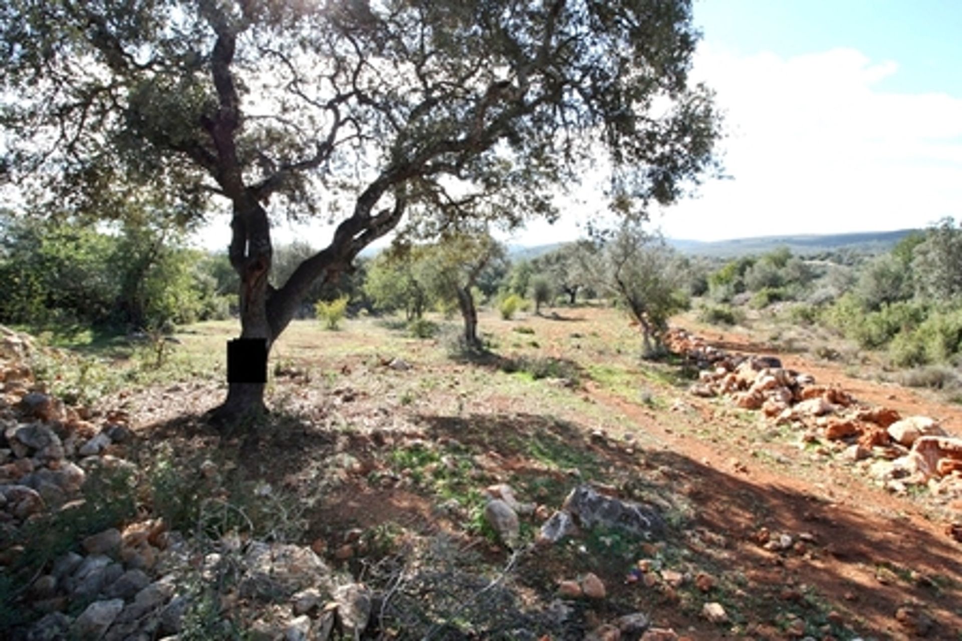 Land in Loulé, Faro 11973921