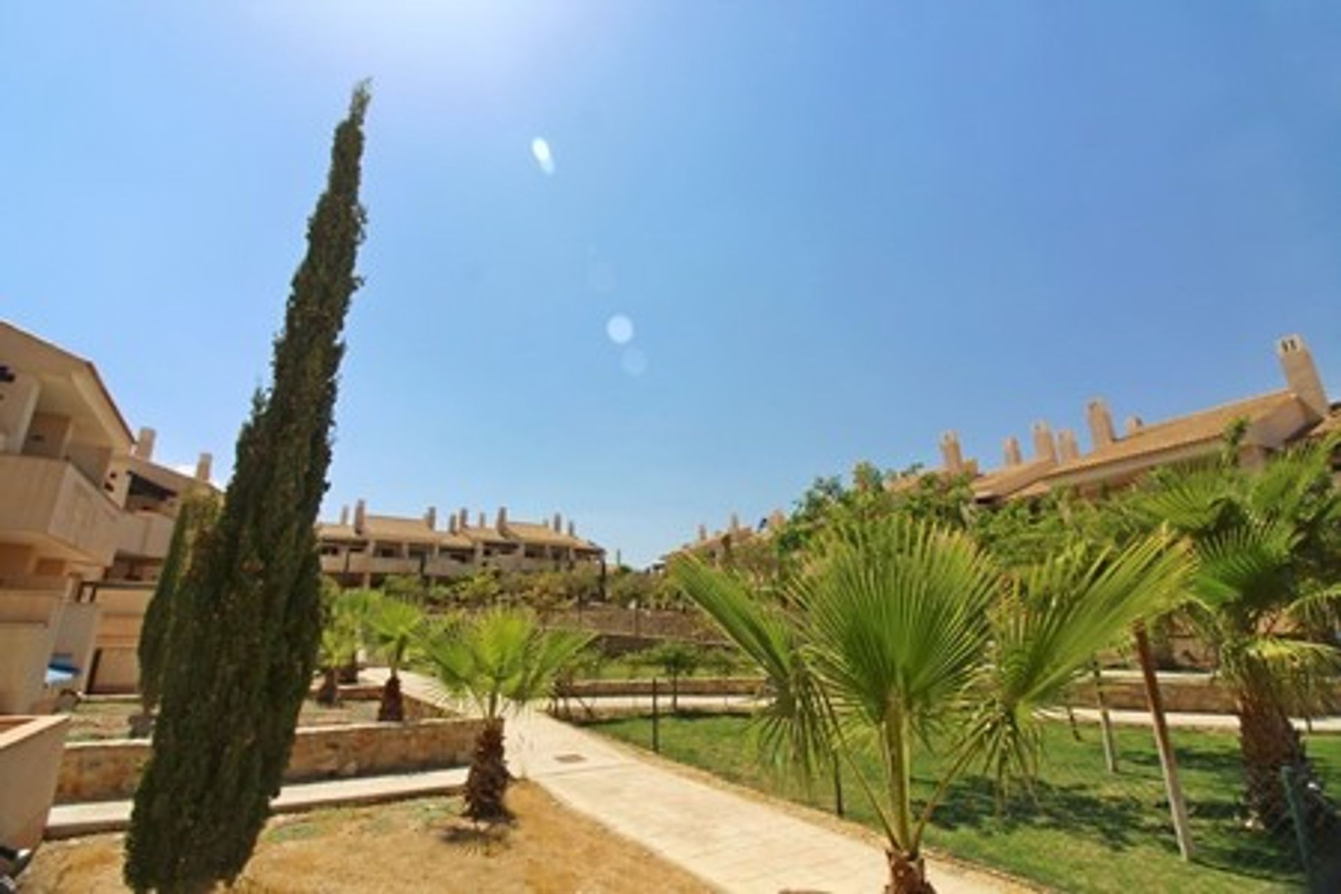 Borettslag i Fuente Álamo de Murcia, Region of Murcia 11973939