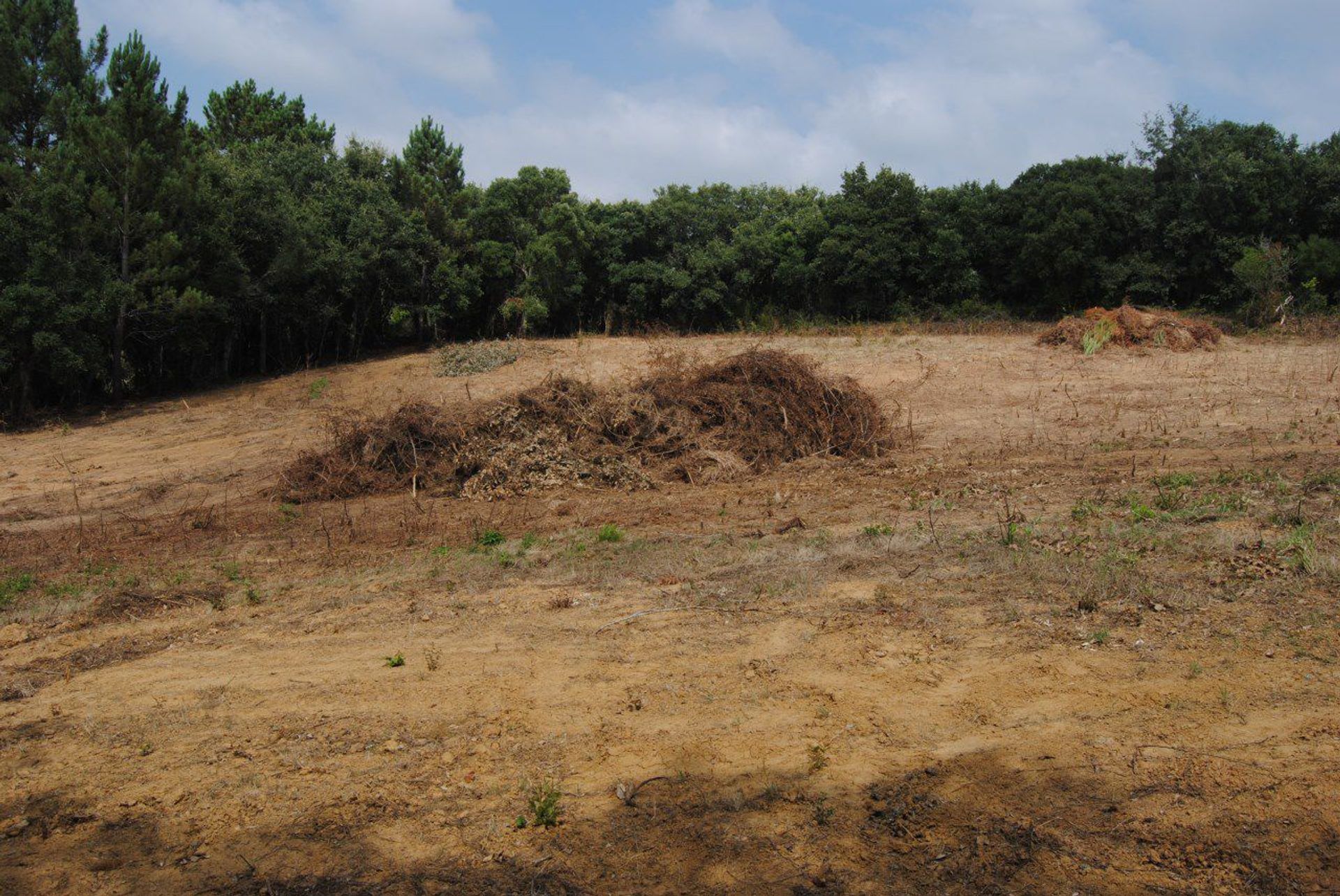 Land in Sao Gregorio, Leiria 11973968