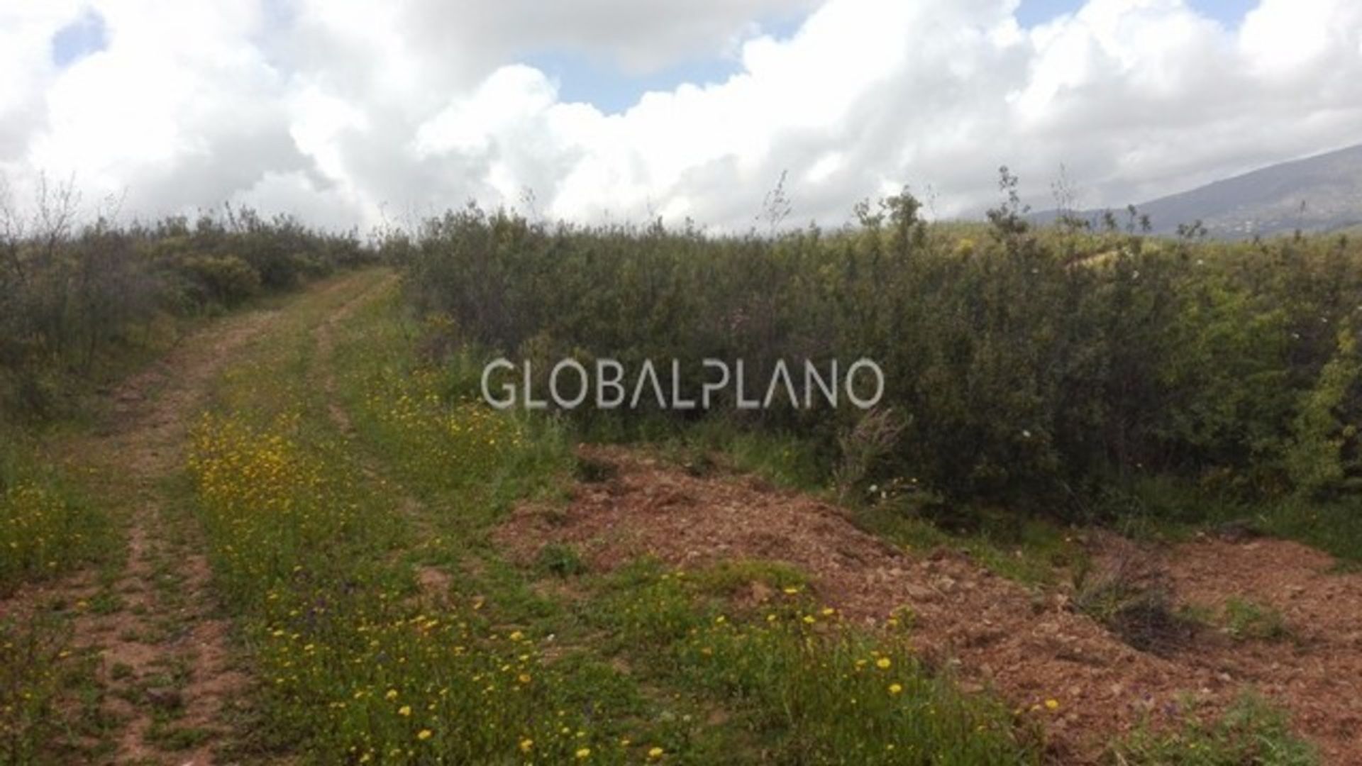 Terra no Portimão, Faro District 11973993