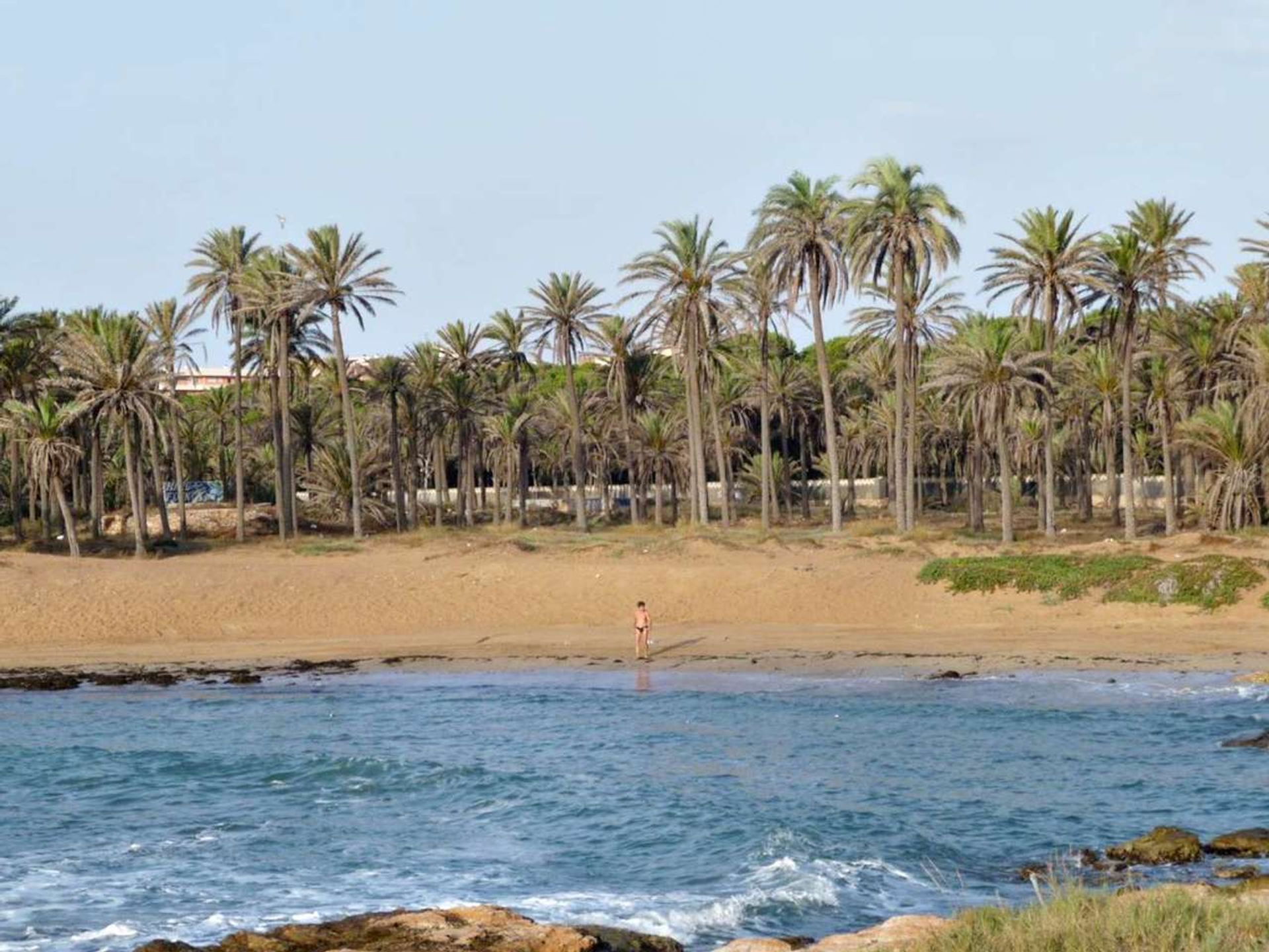 Osakehuoneisto sisään Torrevieja, Valencian Community 11974023