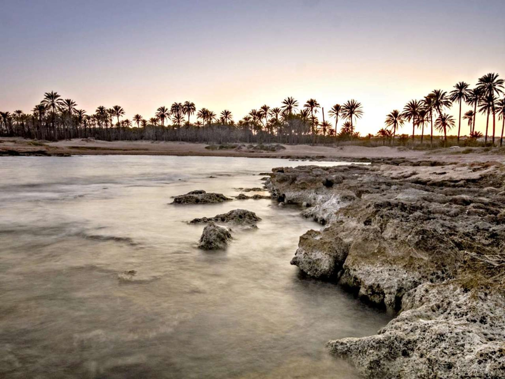 Osakehuoneisto sisään Torrevieja, Valencian Community 11974023