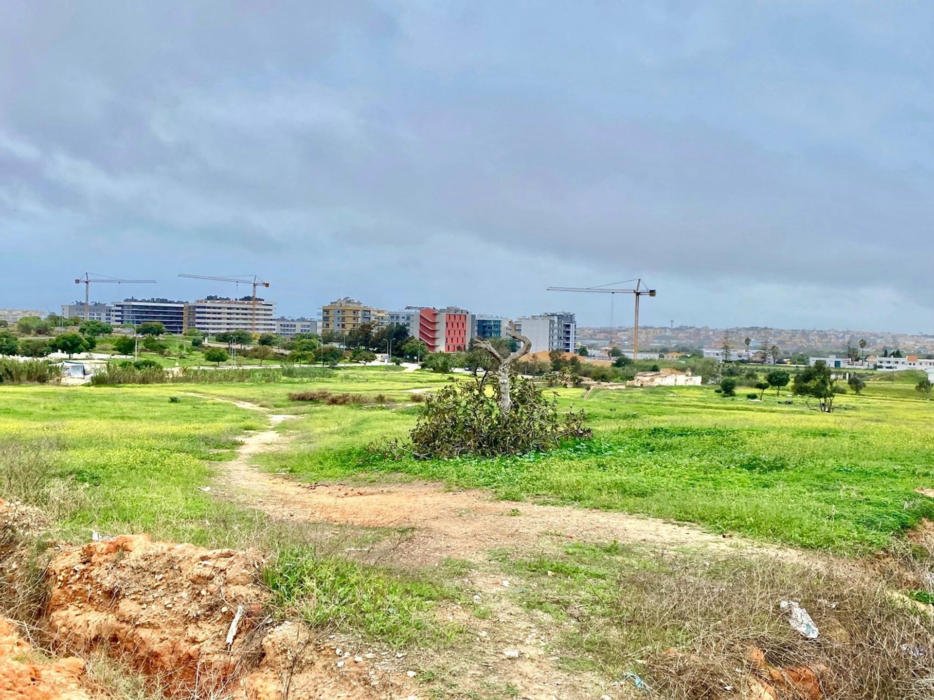 Land in Faro, Faro District 11974153