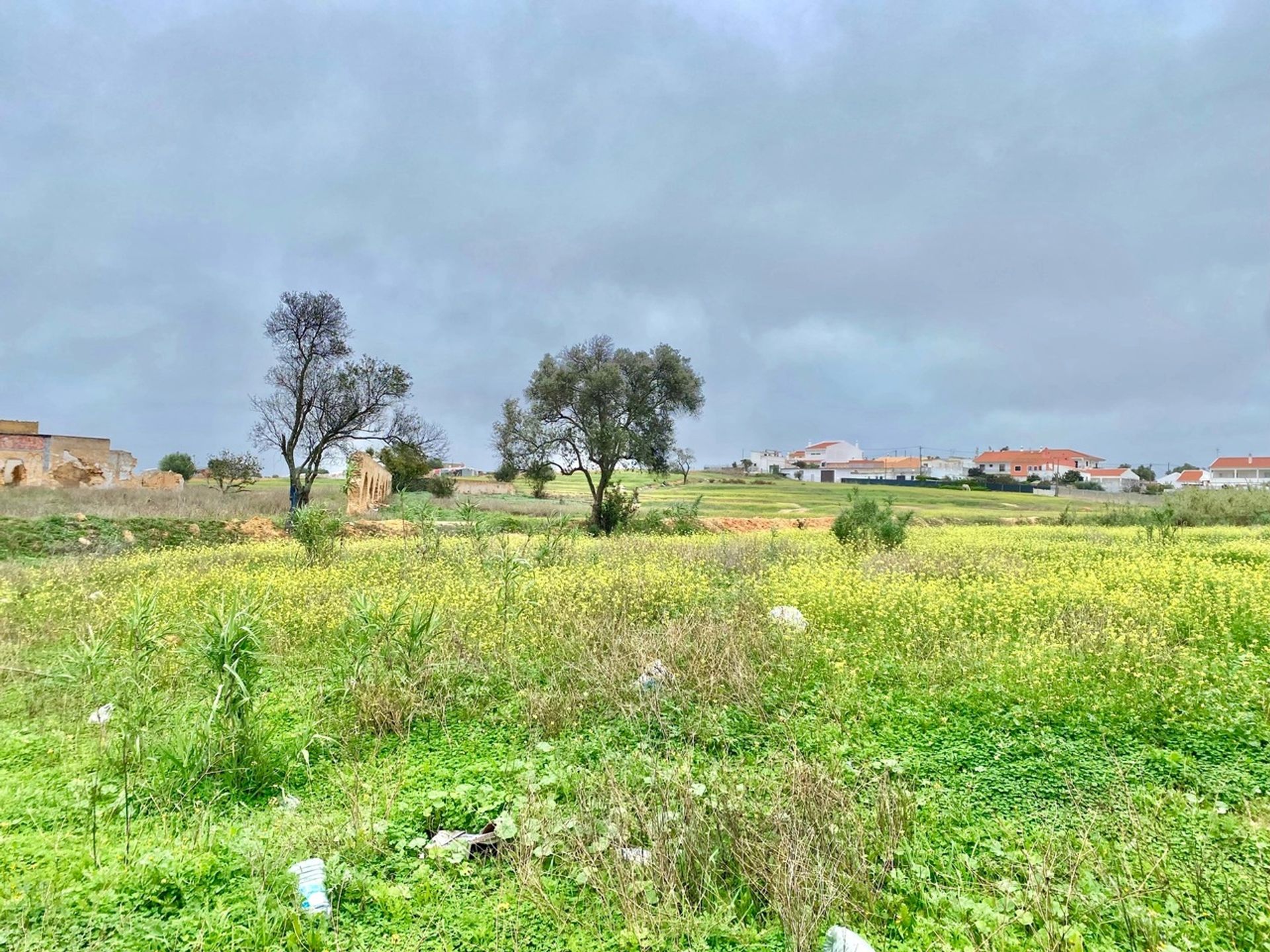 Terra no Faro, Faro 11974153