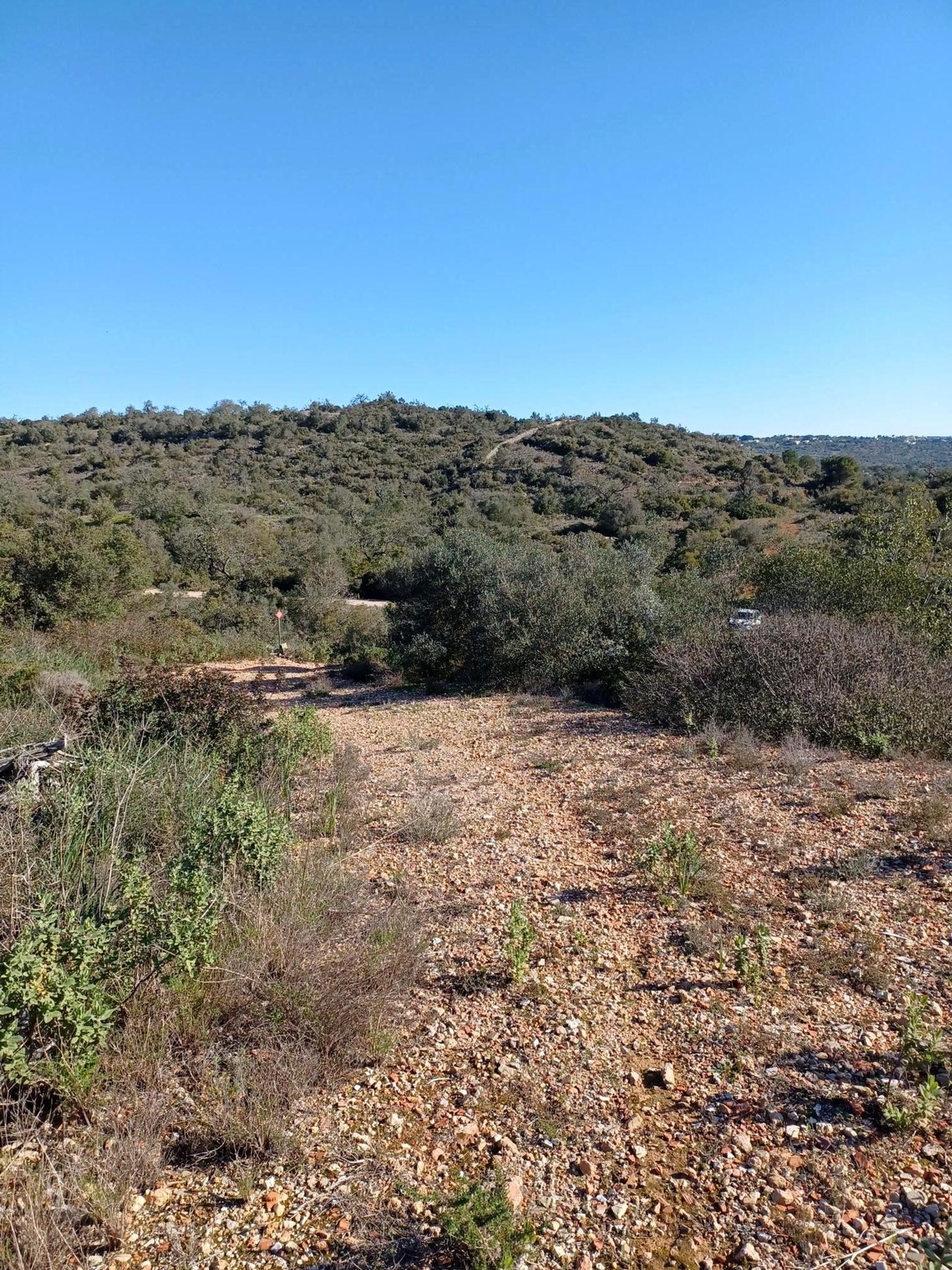 土地 在 Boliqueime, Faro District 11974221