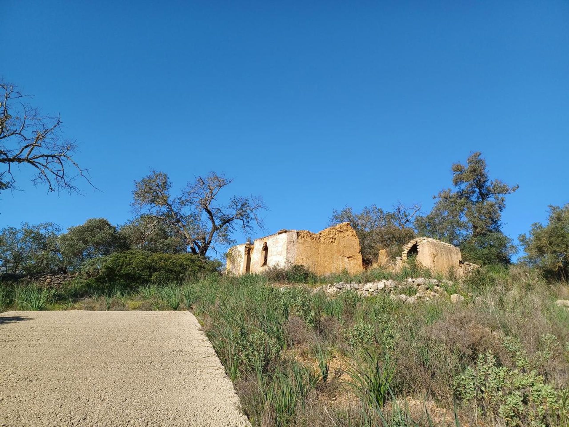 土地 在 Boliqueime, Faro District 11974221