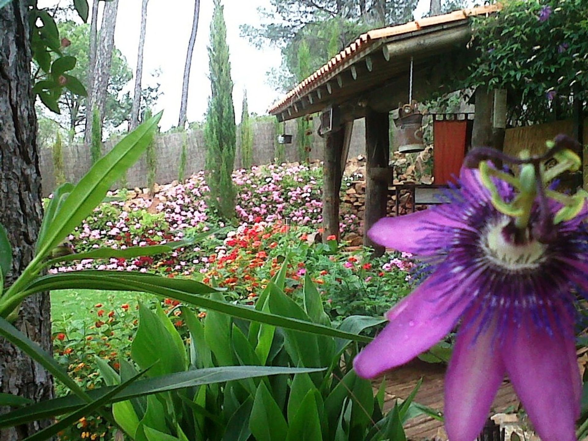 Rumah di Huelva, Andalusia 11974259