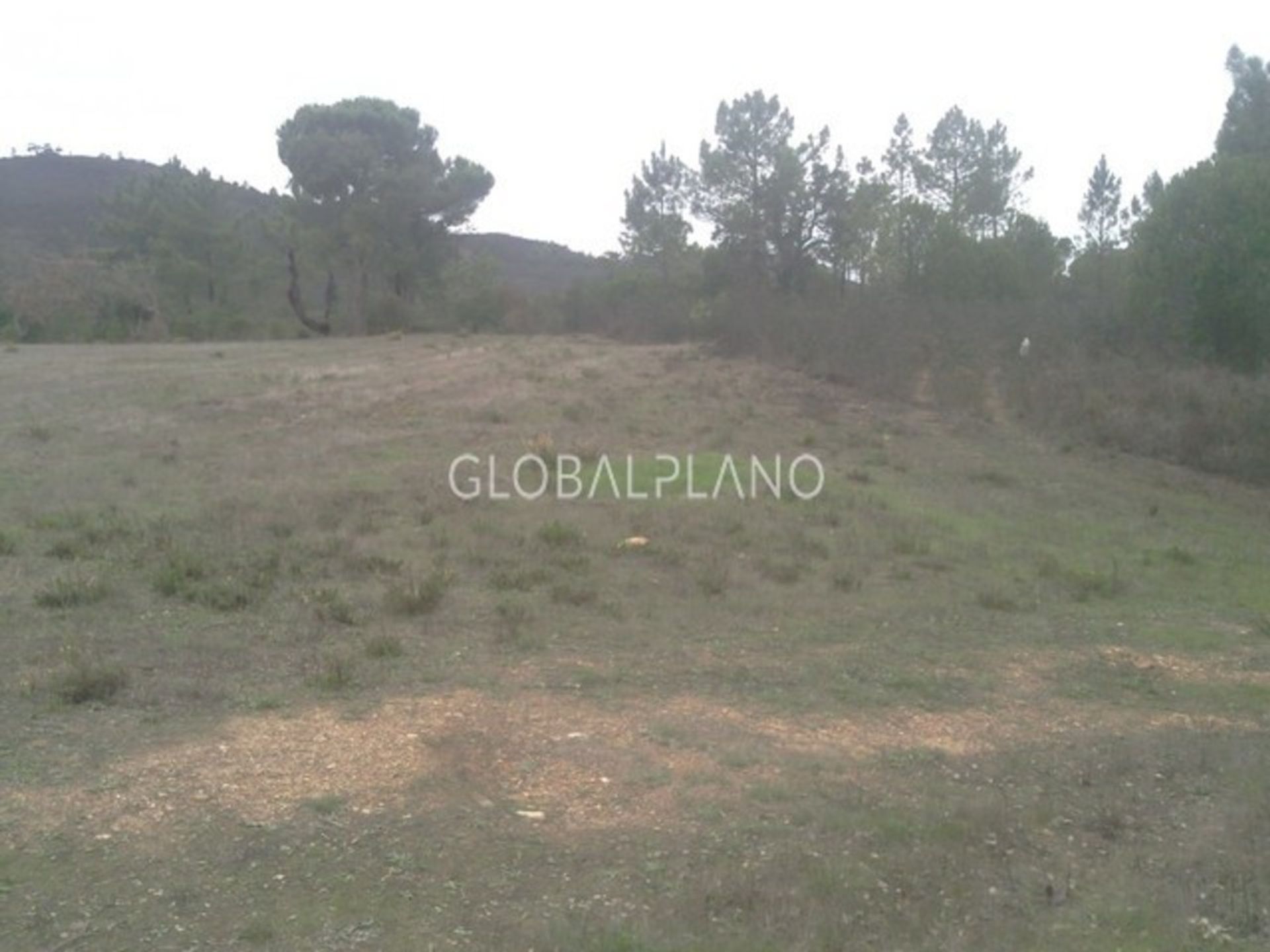 Land in Aljezur, Faro 11974403