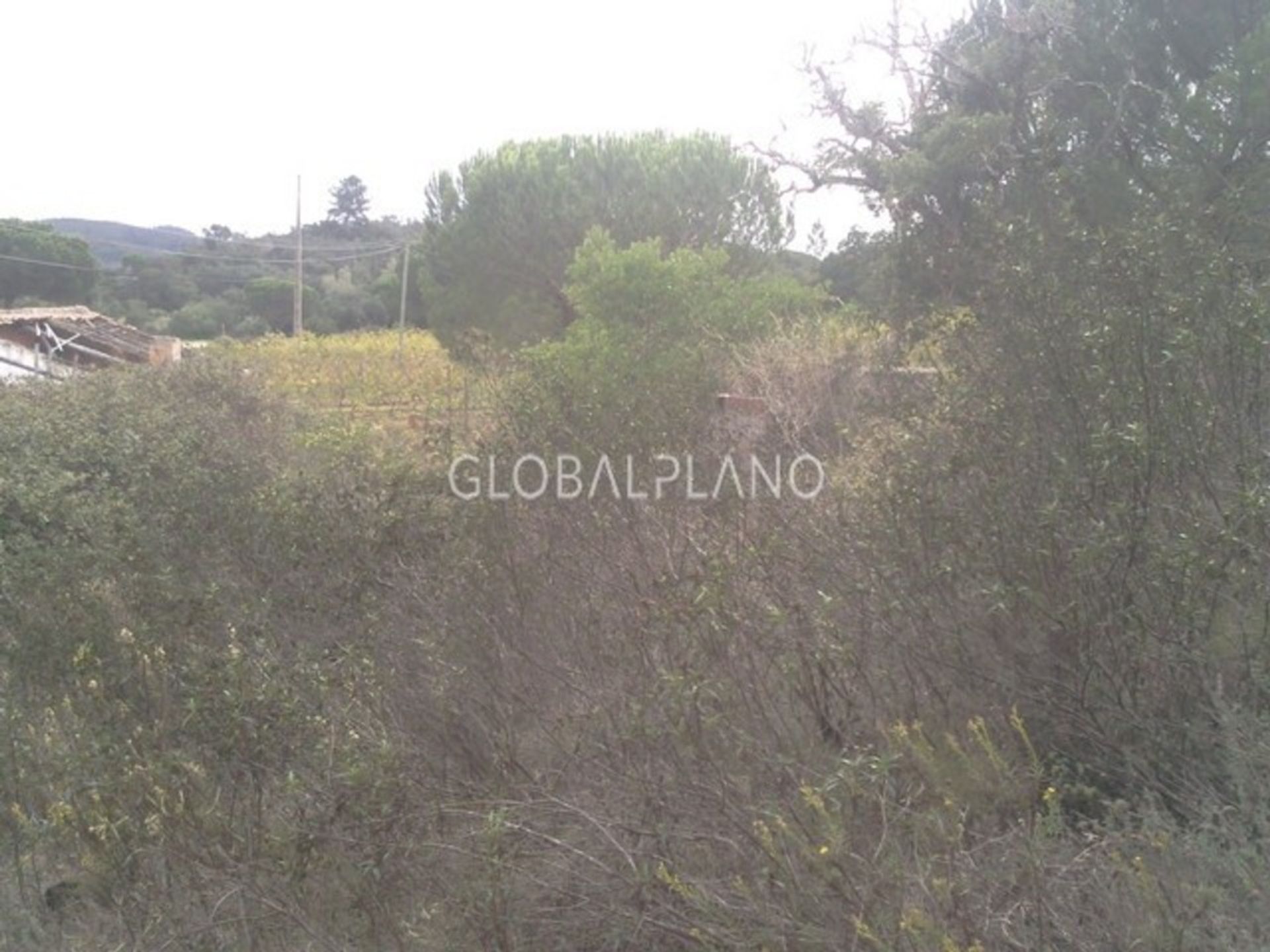 Land in Aljezur, Faro 11974403