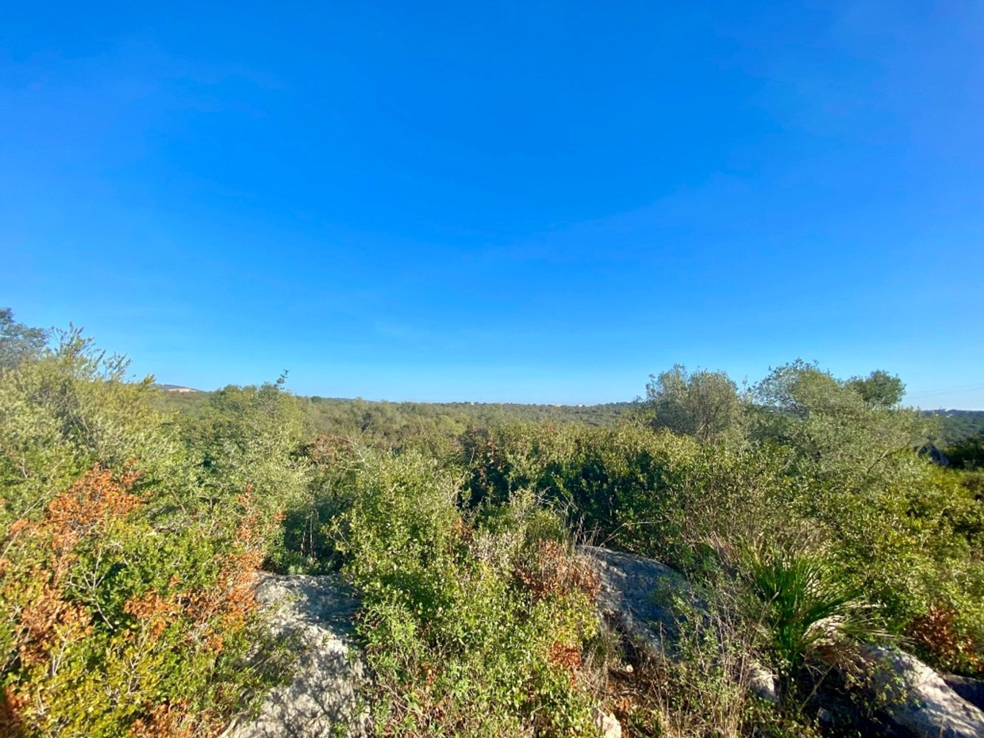 Land in Loulé, Faro 11974472