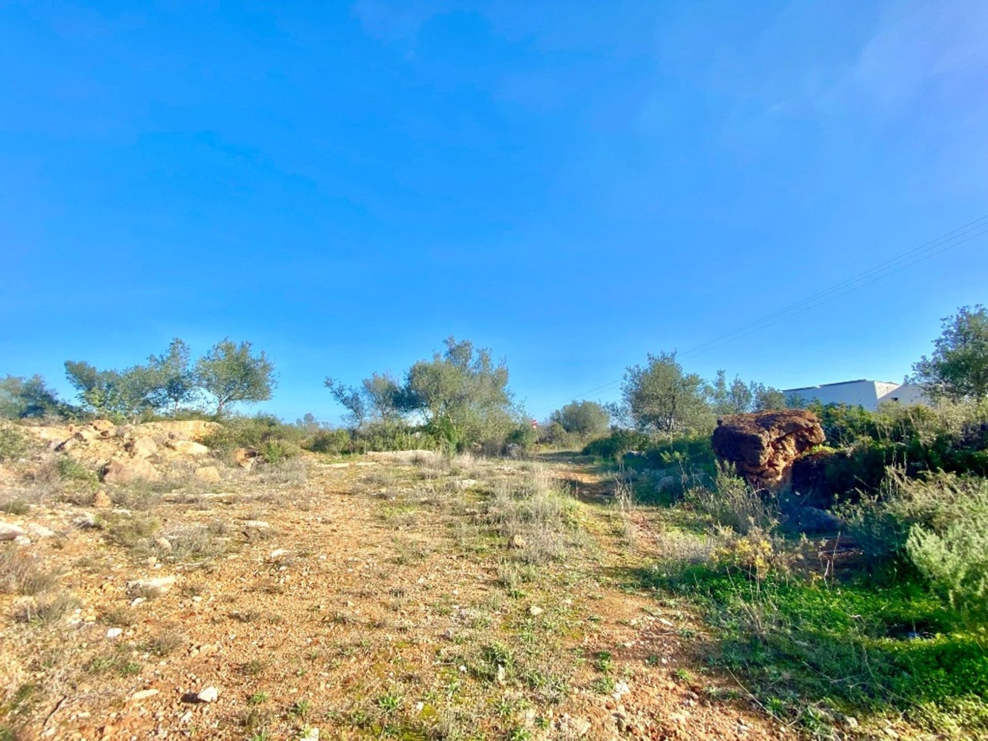 Tierra en Boliqueime, Faro 11974473