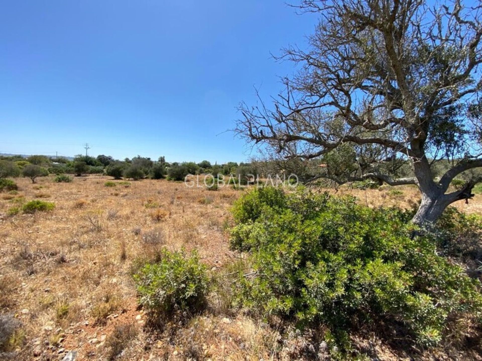 Land in , Faro District 11974477