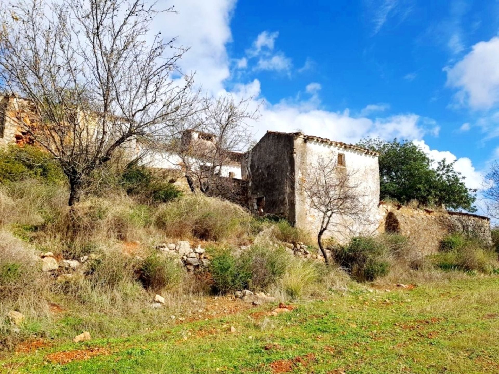 Land in Estoi, Faro 11974498