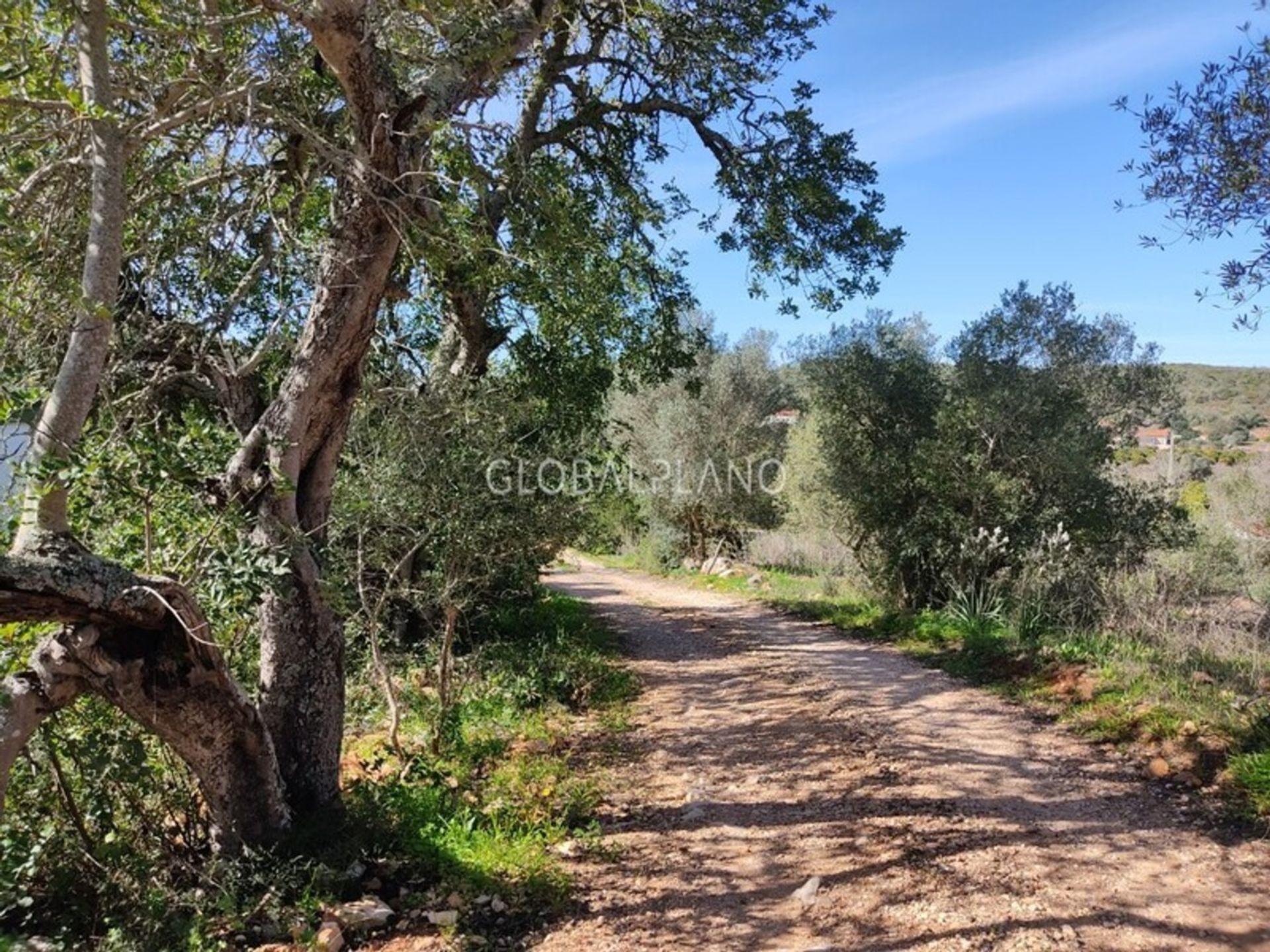 ארץ ב פורטימאו, פארו 11974512