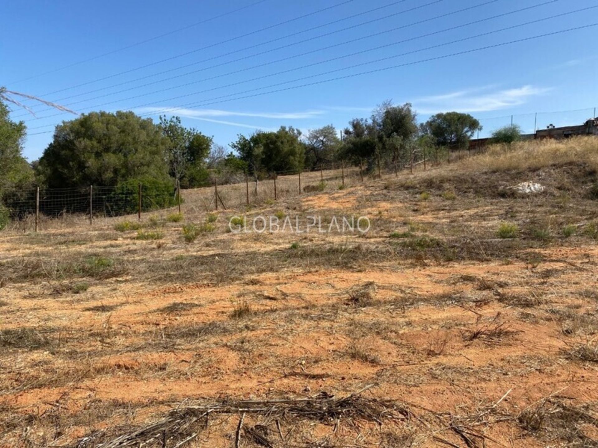 Land im Portimão, Faro 11974602