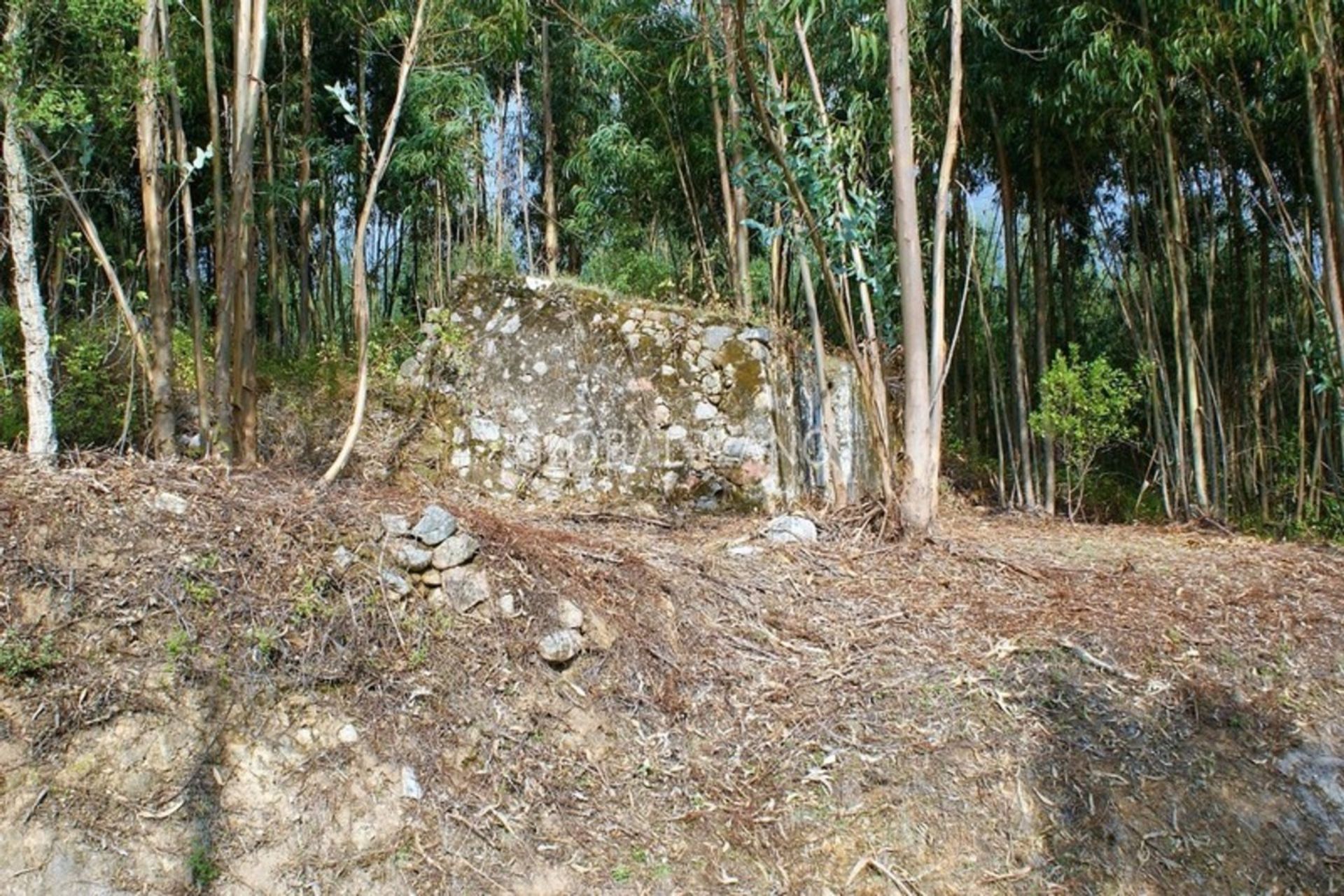 土地 在 , Faro District 11974628