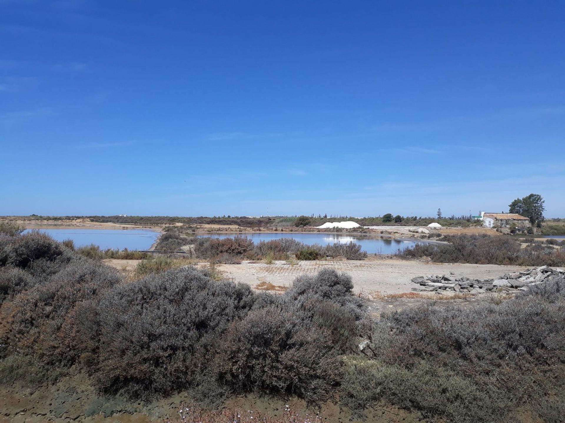 Land in Pechao, Faro 11974729