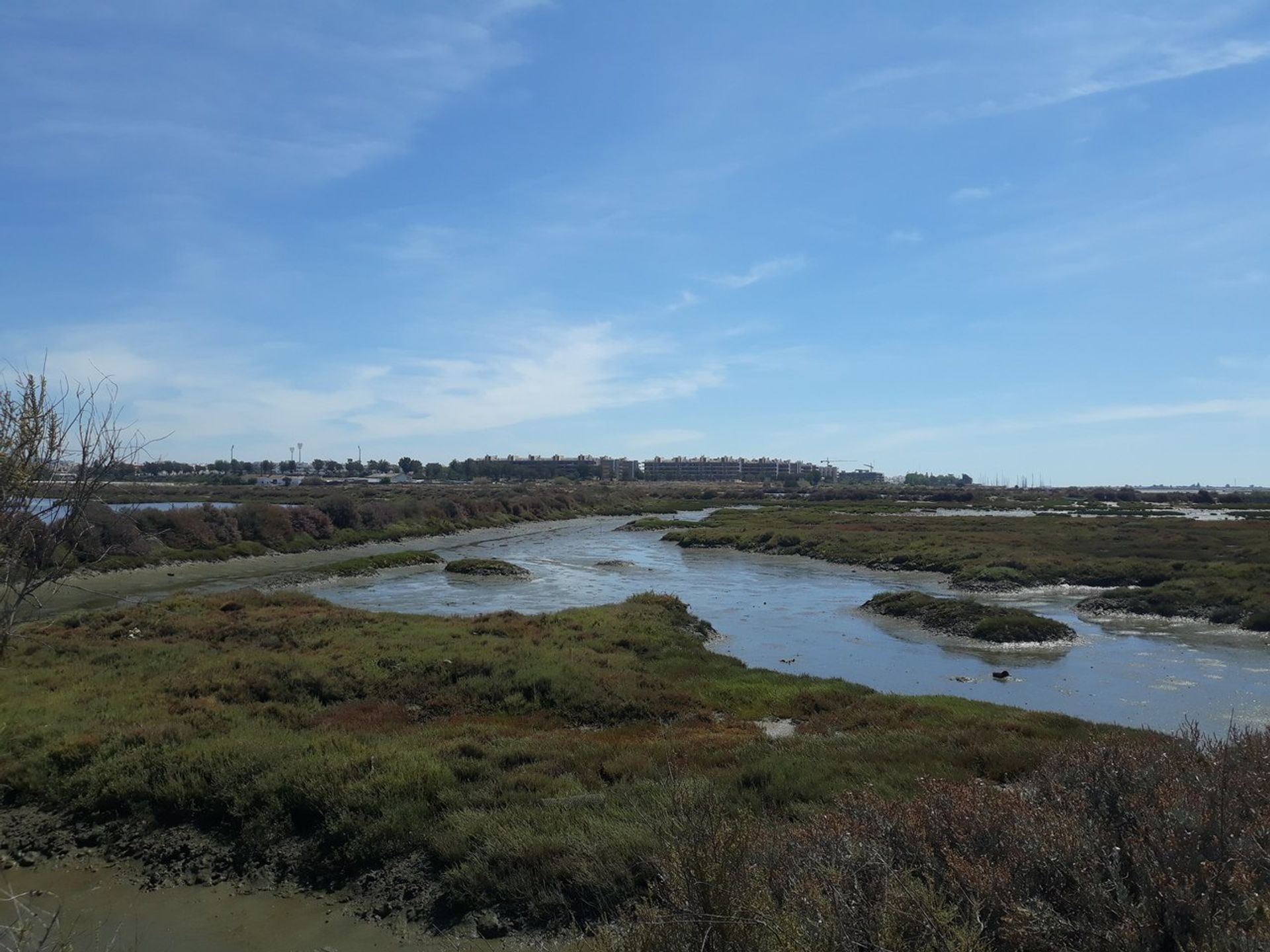 Land in Pechao, Faro 11974729