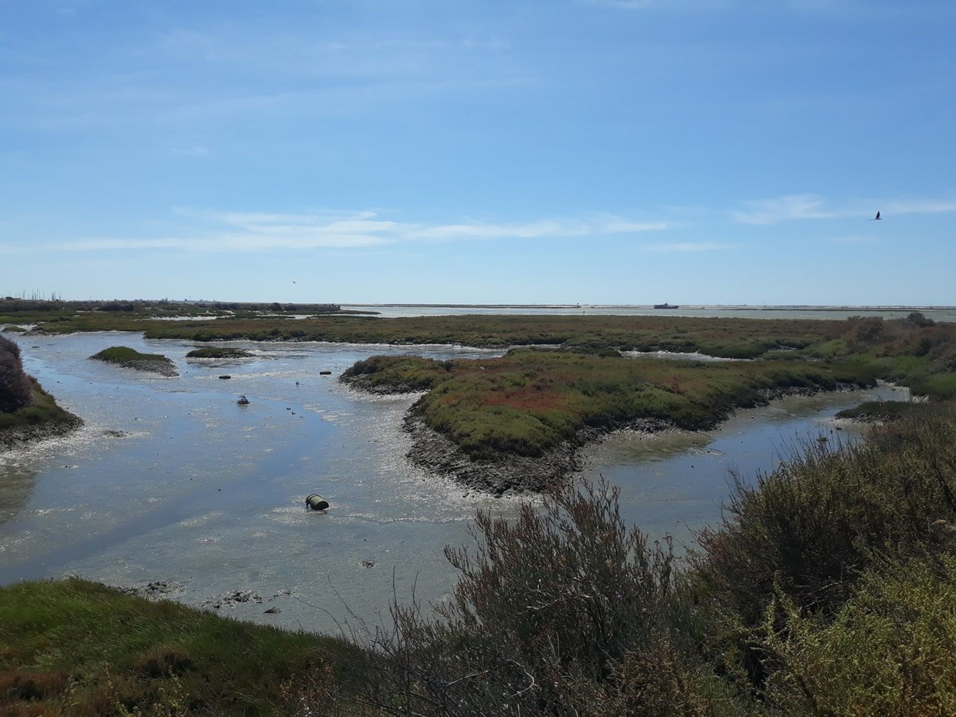 Land i Pechao, Faro 11974729