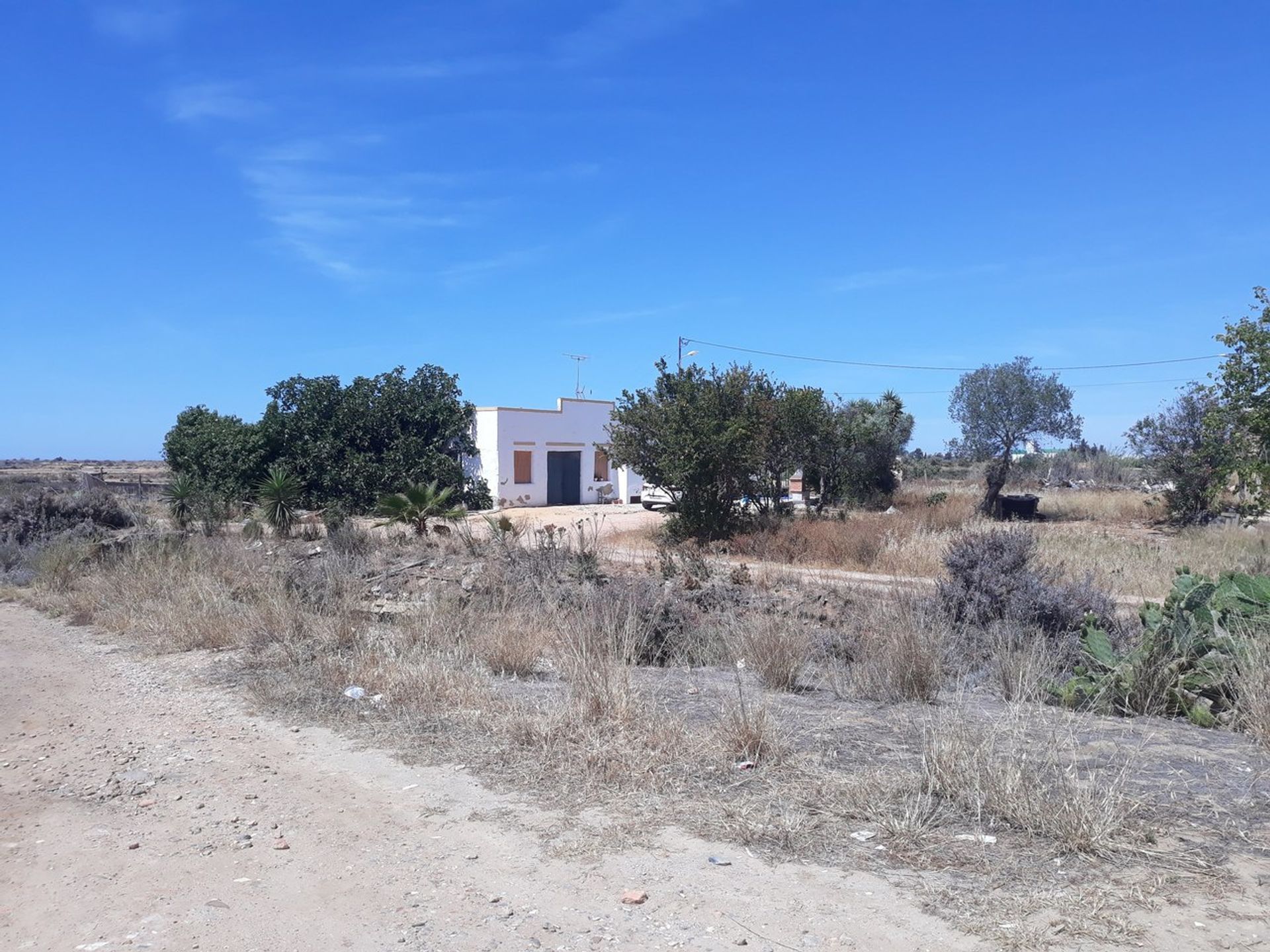 Land in Pechao, Faro 11974729