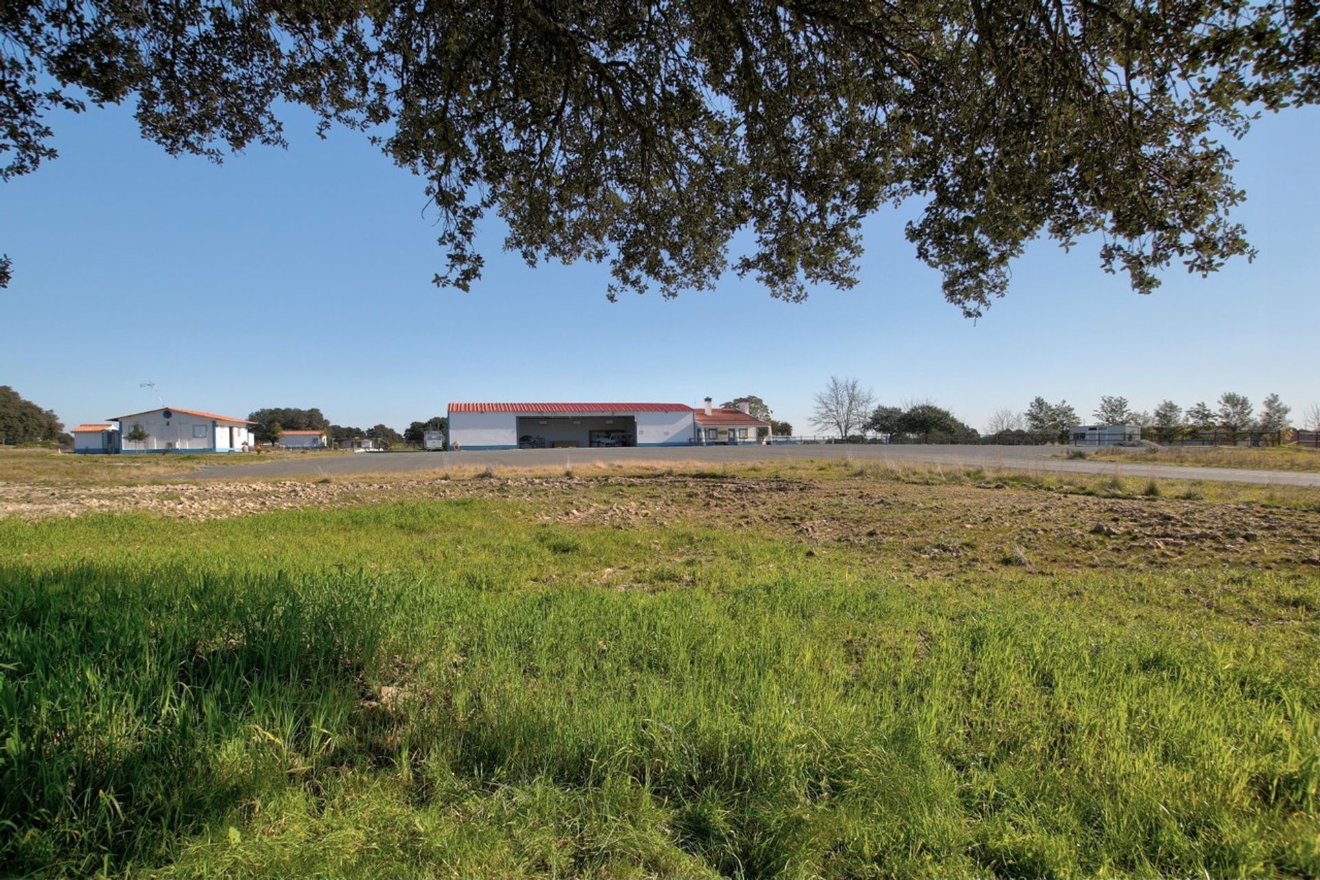 Autre dans Ferreira do Alentejo, Béja 11974733