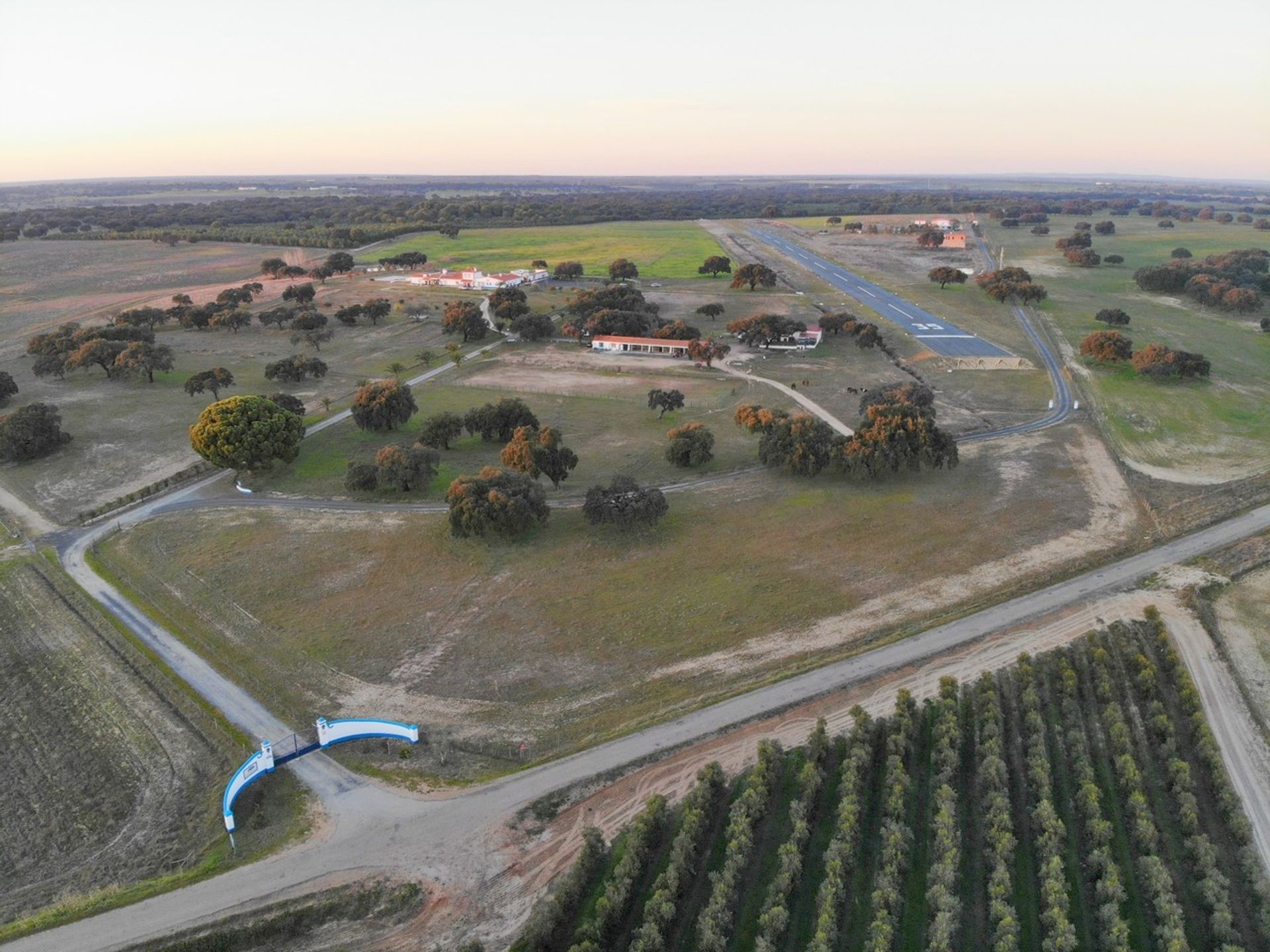 Haus im Ferreira do Alentejo, Beja District 11974734