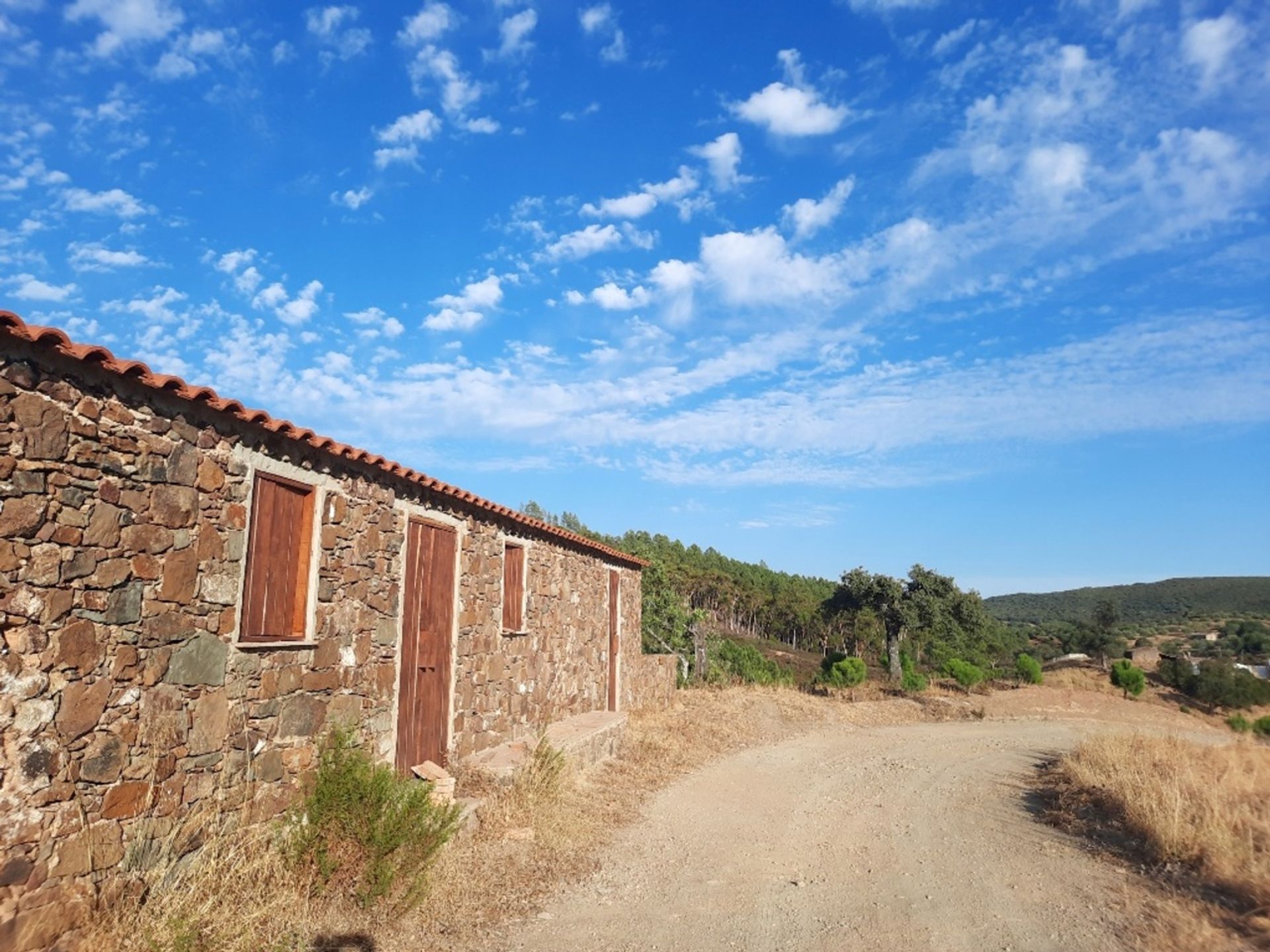 الأرض في Loulé, Faro District 11974739