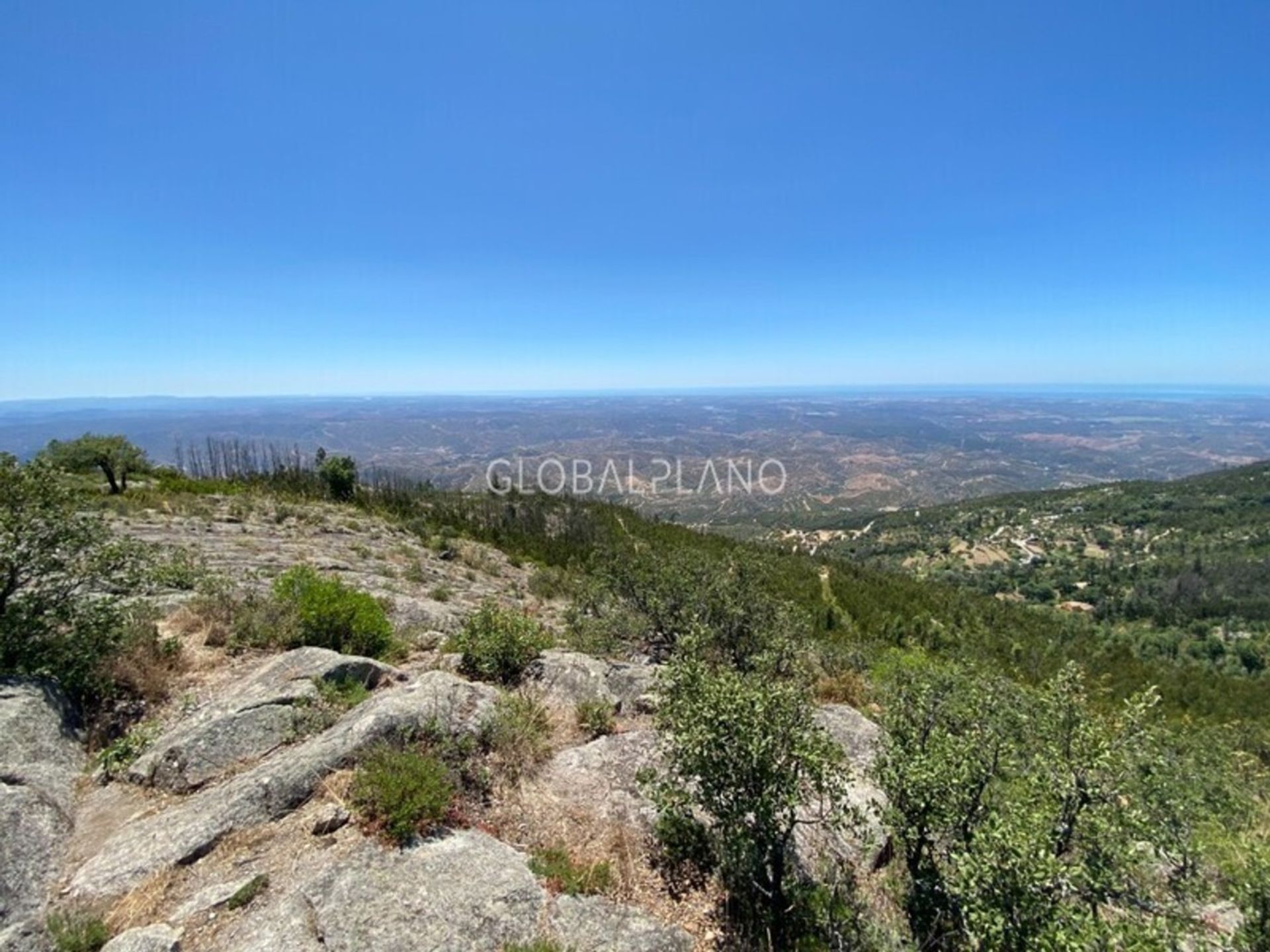 Land in Monchique, Faro 11974769