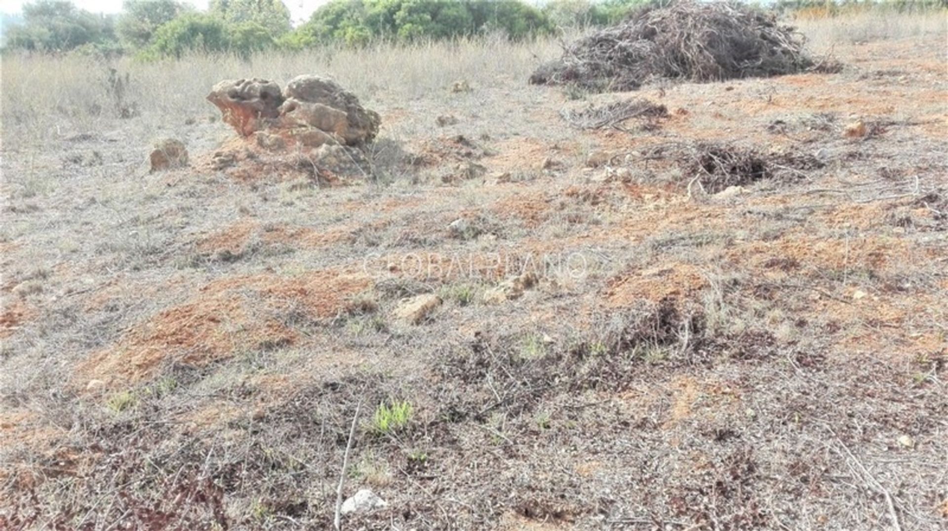 Land in Portimão, Faro District 11974880