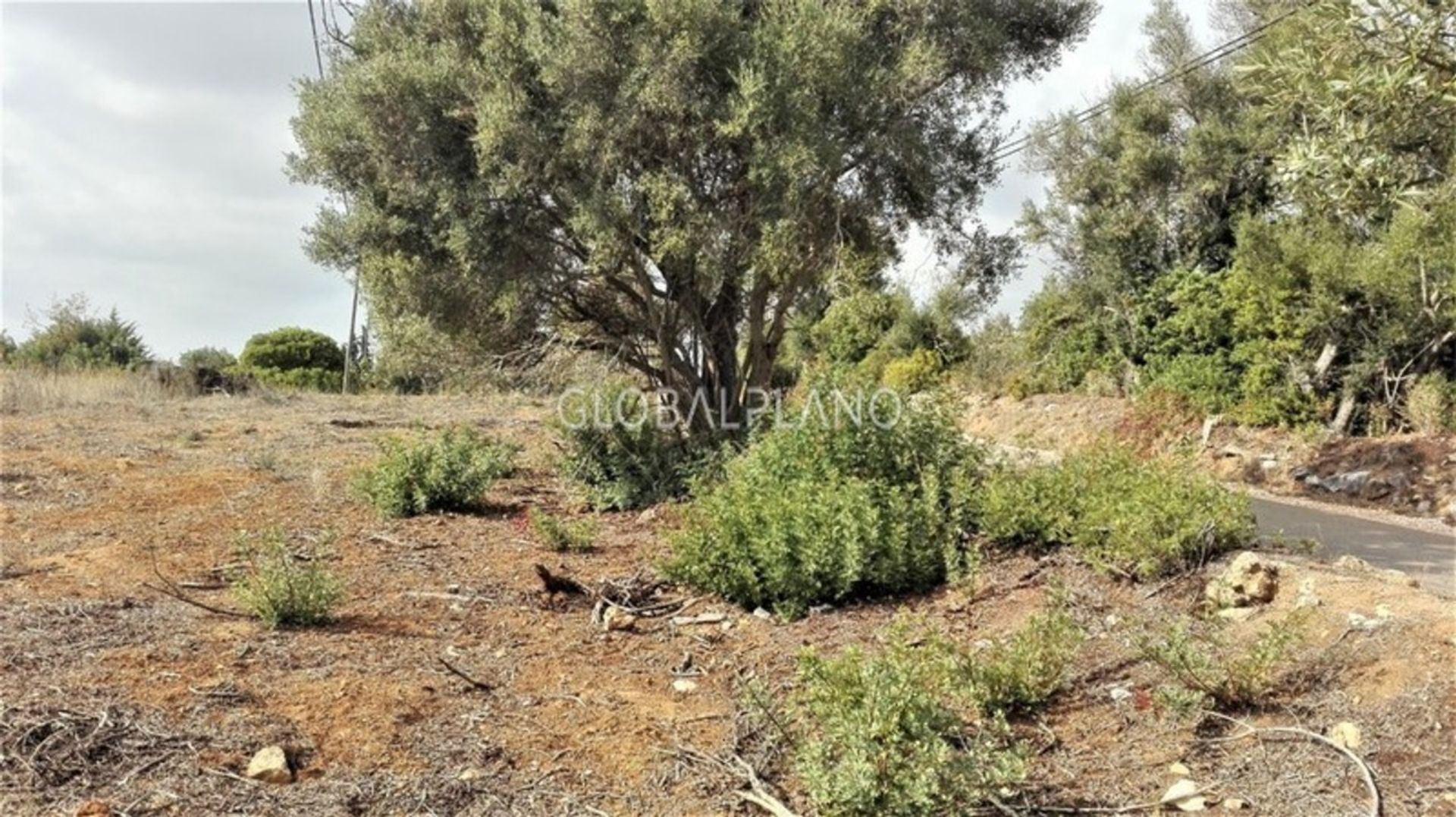 Land in Portimão, Faro District 11974880