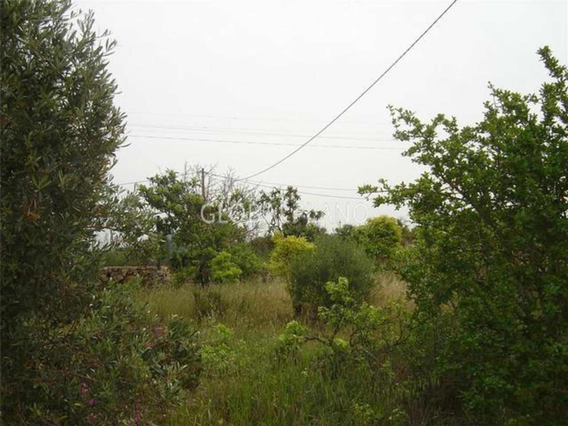 Land in Silves, Faro District 11974897