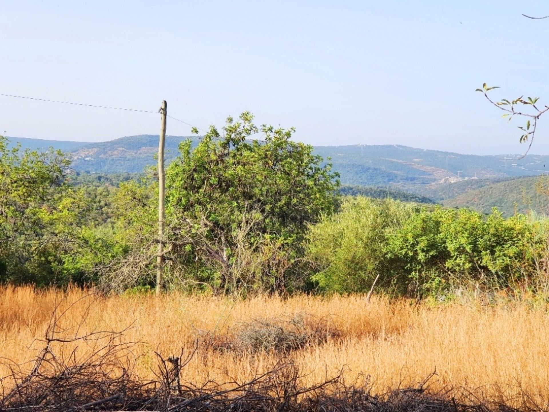 Land in Loulé, Faro District 11974903