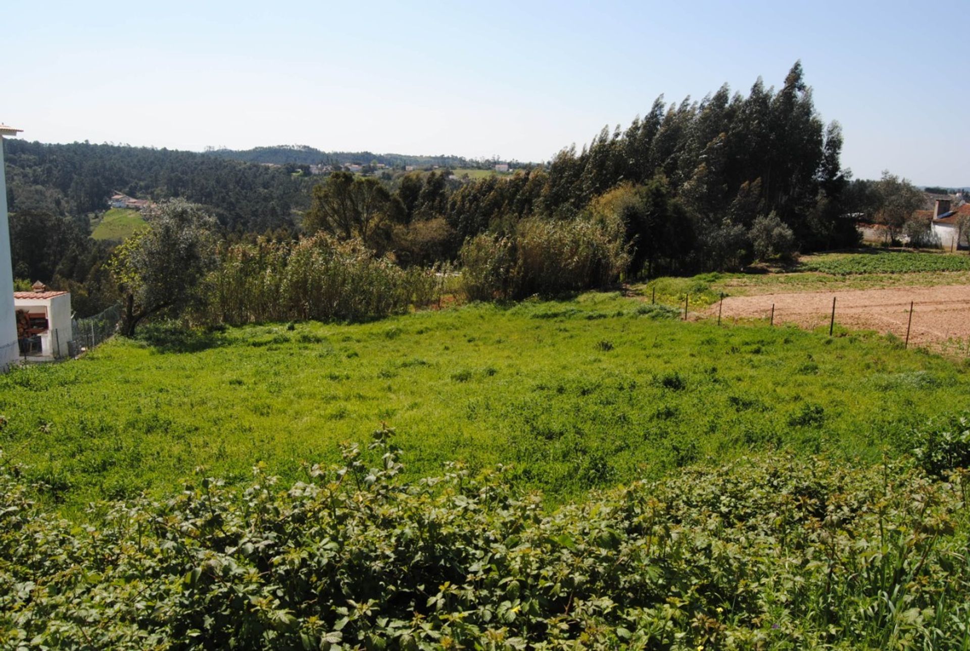 Land in Sao Gregorio, Leiria 11974970