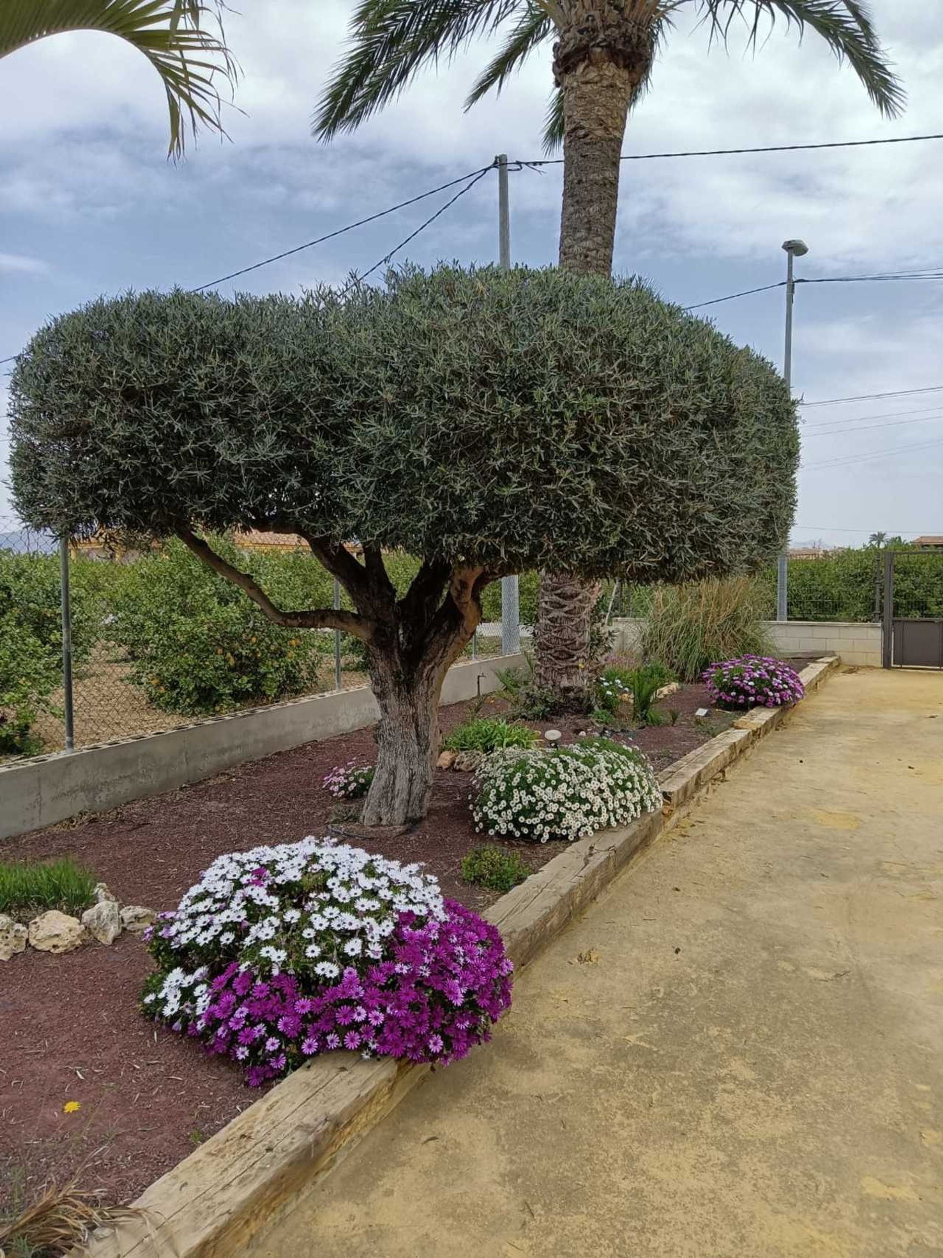 بيت في El Raal, Region of Murcia 11975399